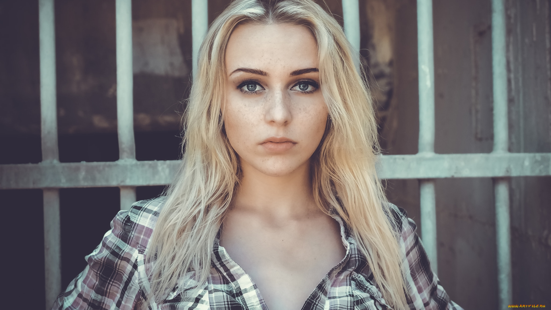 девушка, девушки, -unsort, , блондинки, , светловолосые, модель