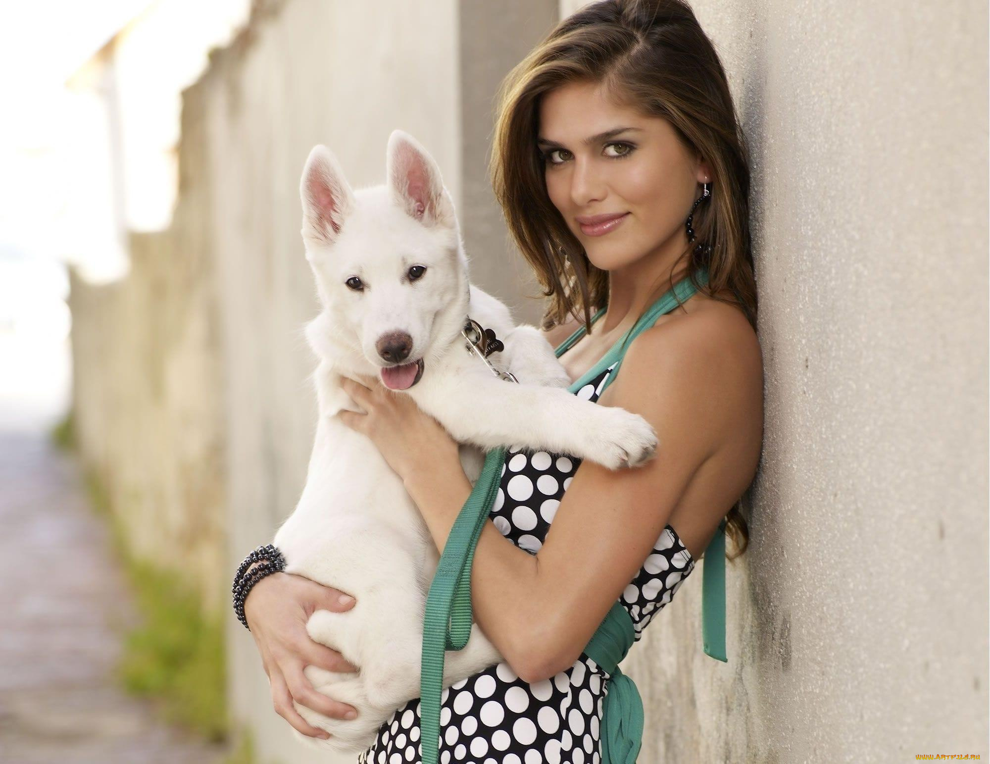 девушки, anahi, gonzales, шатенка, модель, щенок, стена, сарафан, улыбка