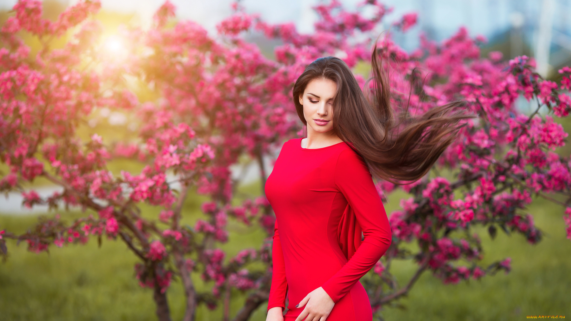 девушки, -unsort, , брюнетки, темноволосые, шатенка, платье, дерево, цветение