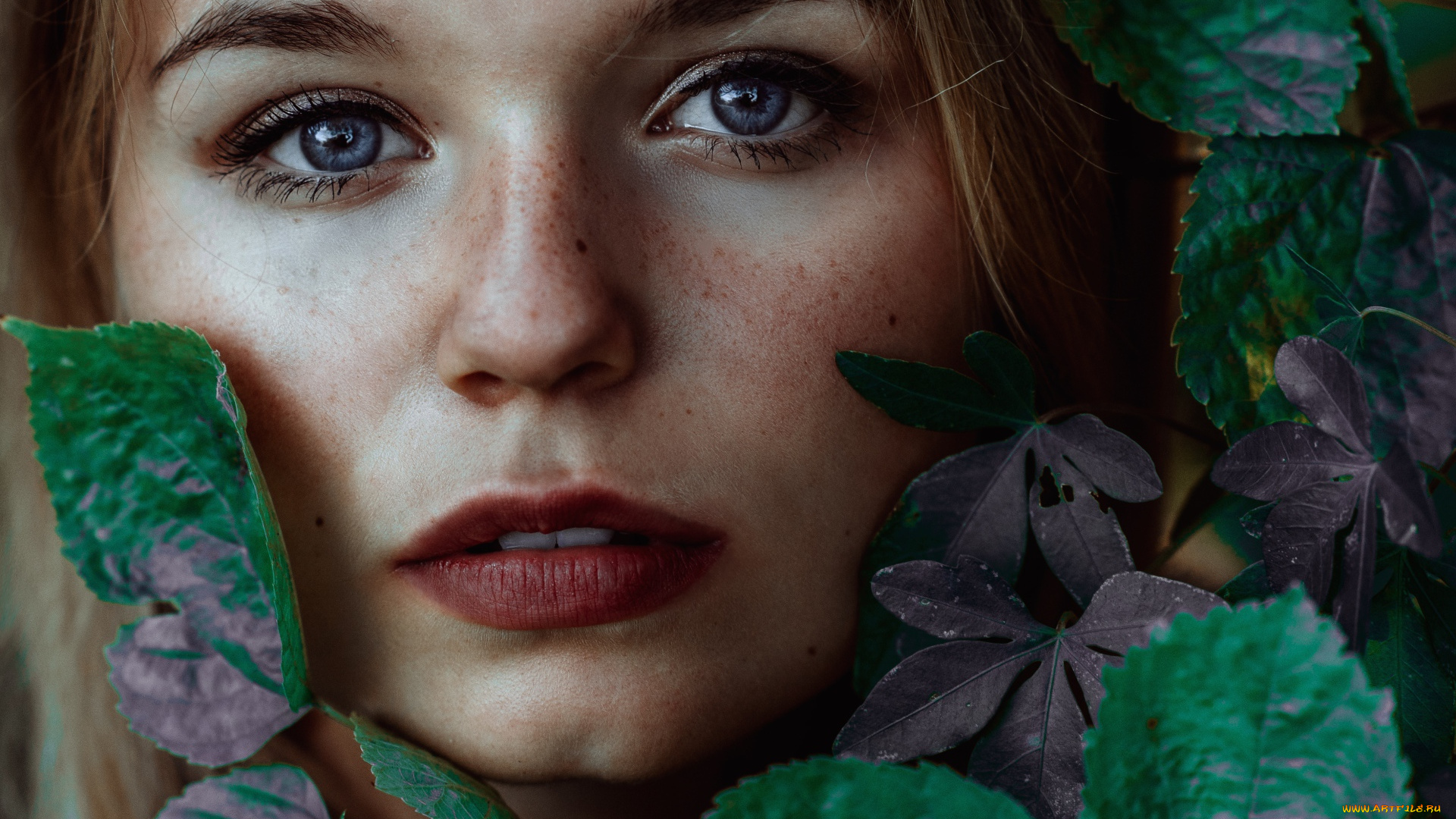 девушки, -unsort, , лица, , портреты, лицо, веснушки, листья