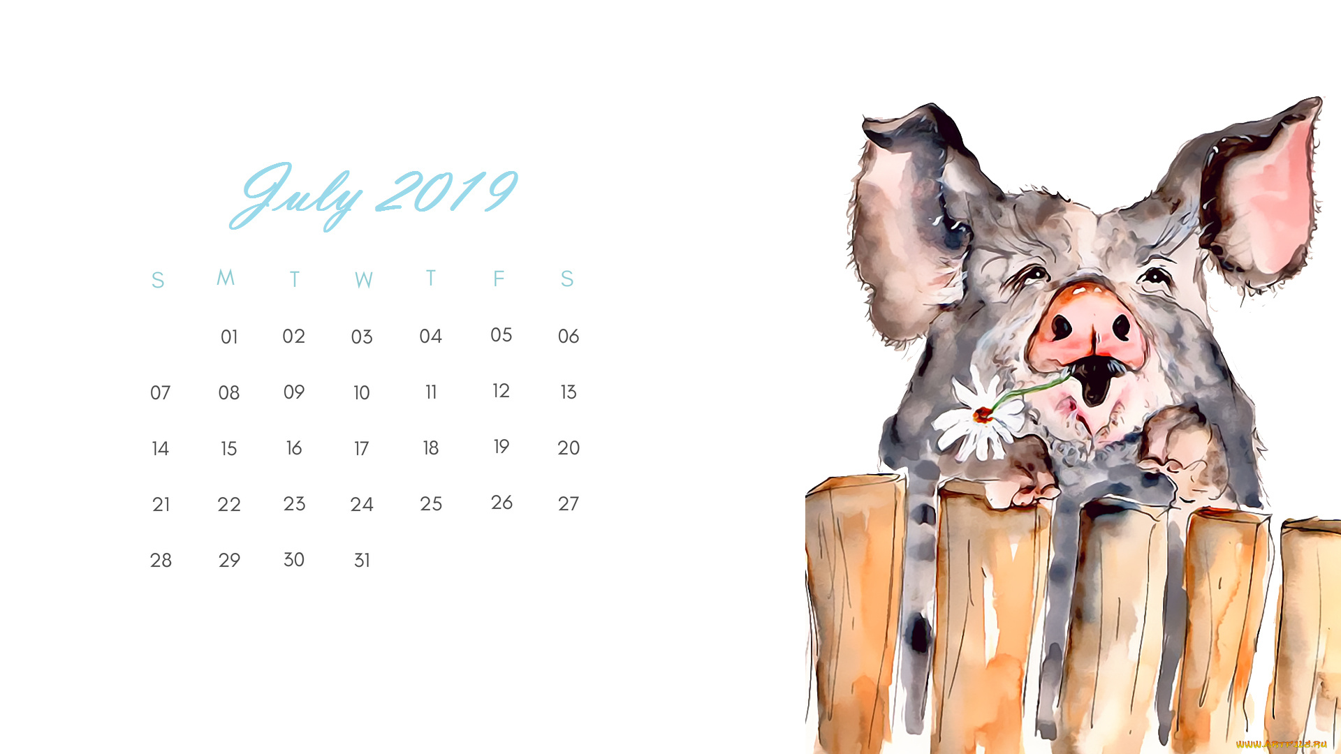 календари, рисованные, , векторная, графика, поросенок, цветок, свинья, забор