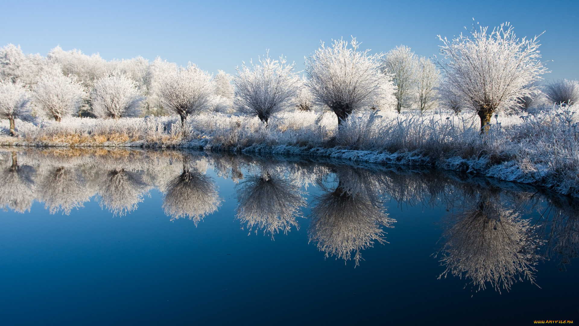 природа, реки, озера, снег, озеро, деревья