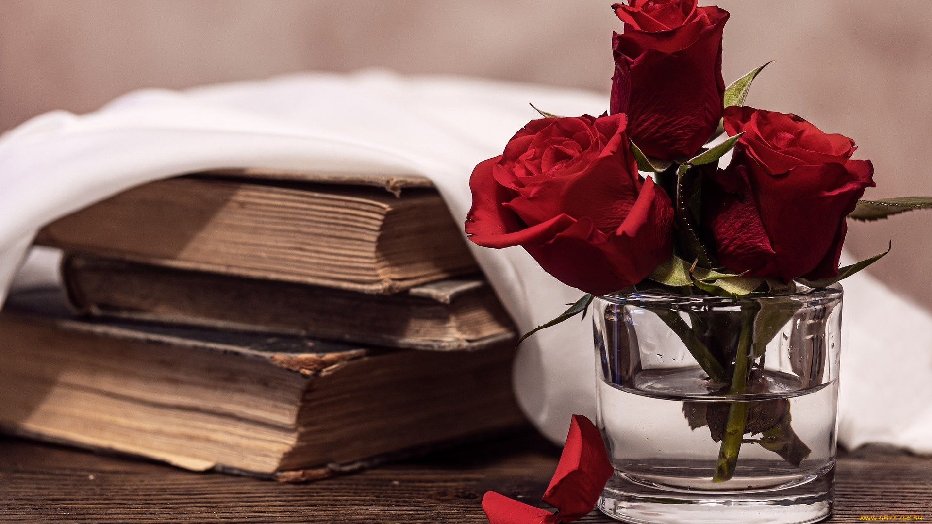 цветы, розы, книги, лепестки