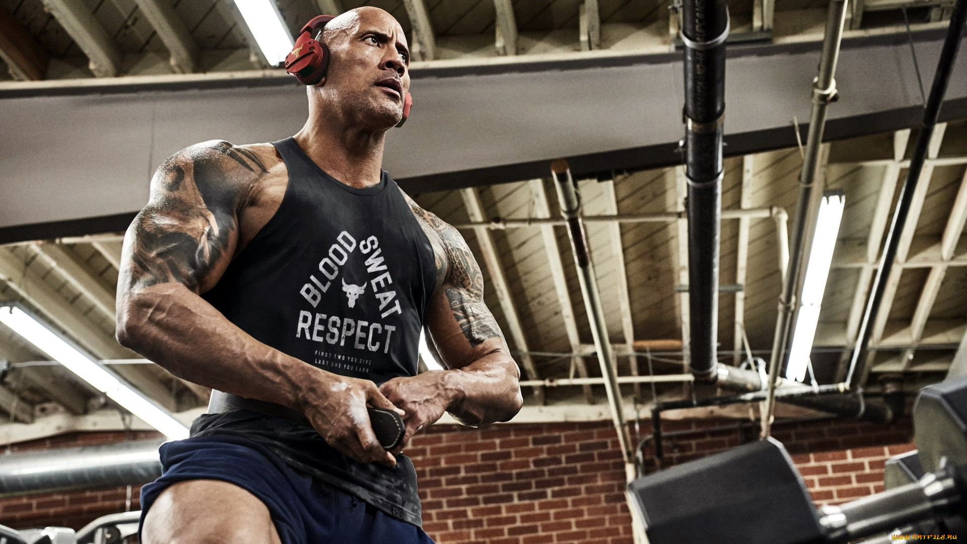 мужчины, dwayne, johnson, , the, rock, наушники, тату