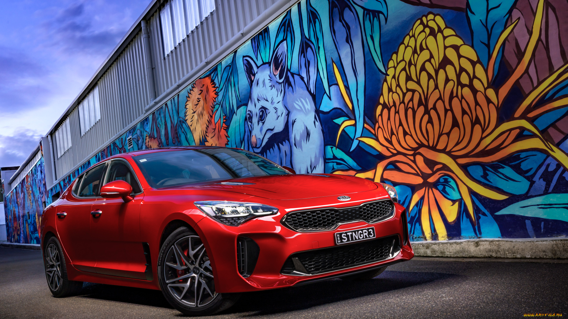 автомобили, kia