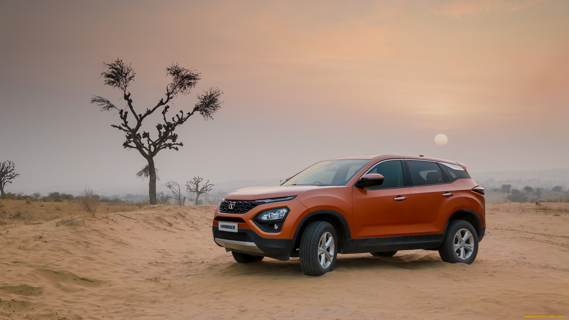 автомобили, tata