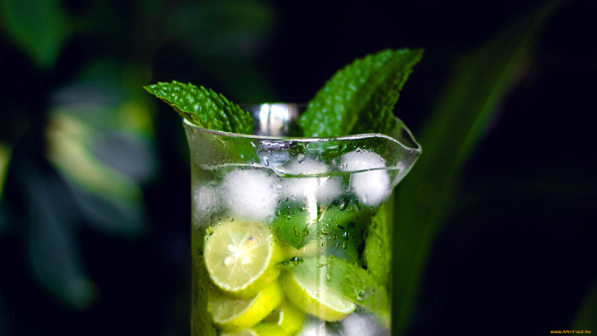 еда, напитки, , коктейль, мята, коктейль, лимон