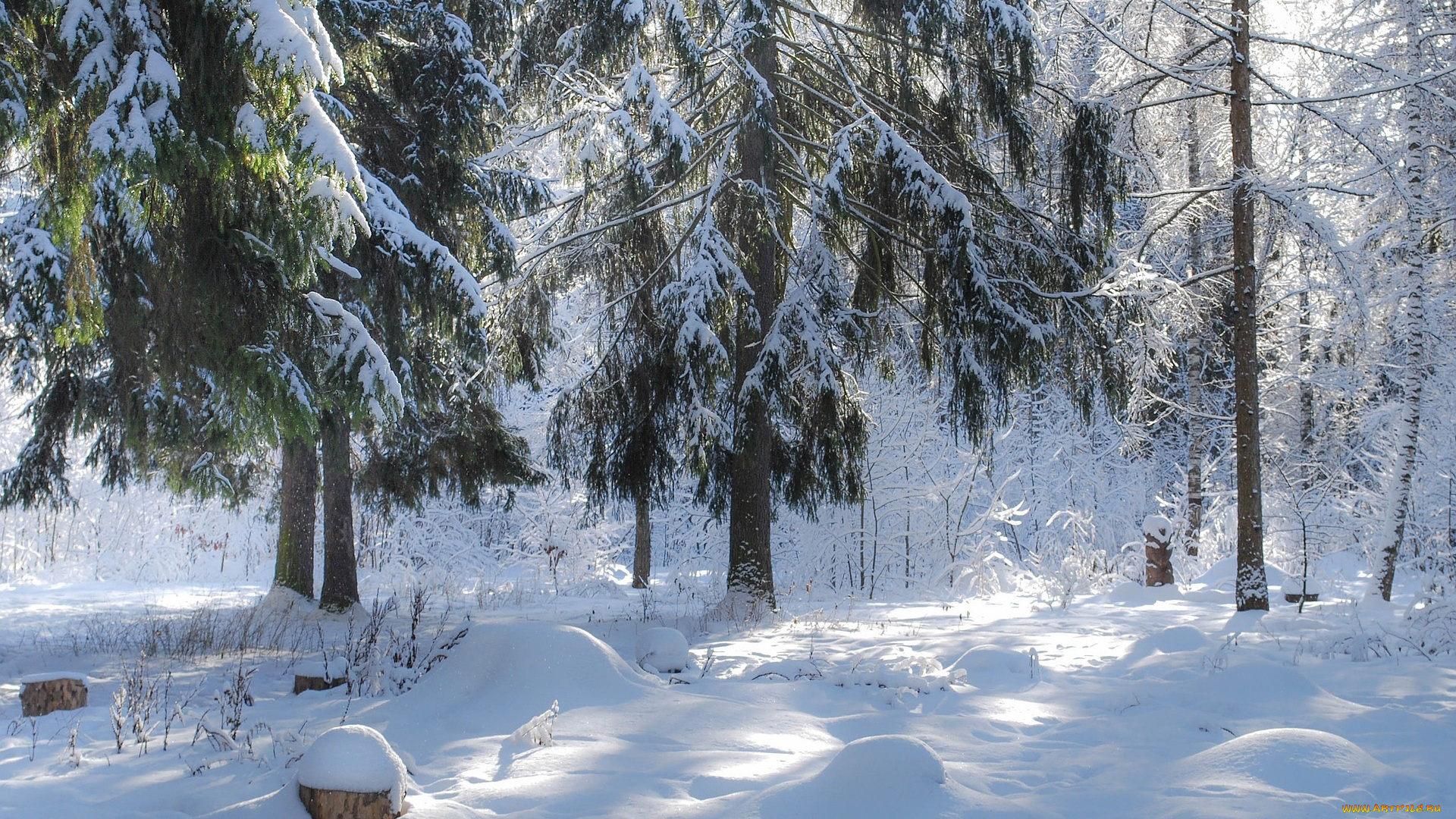 природа, зима, снег, сугробы