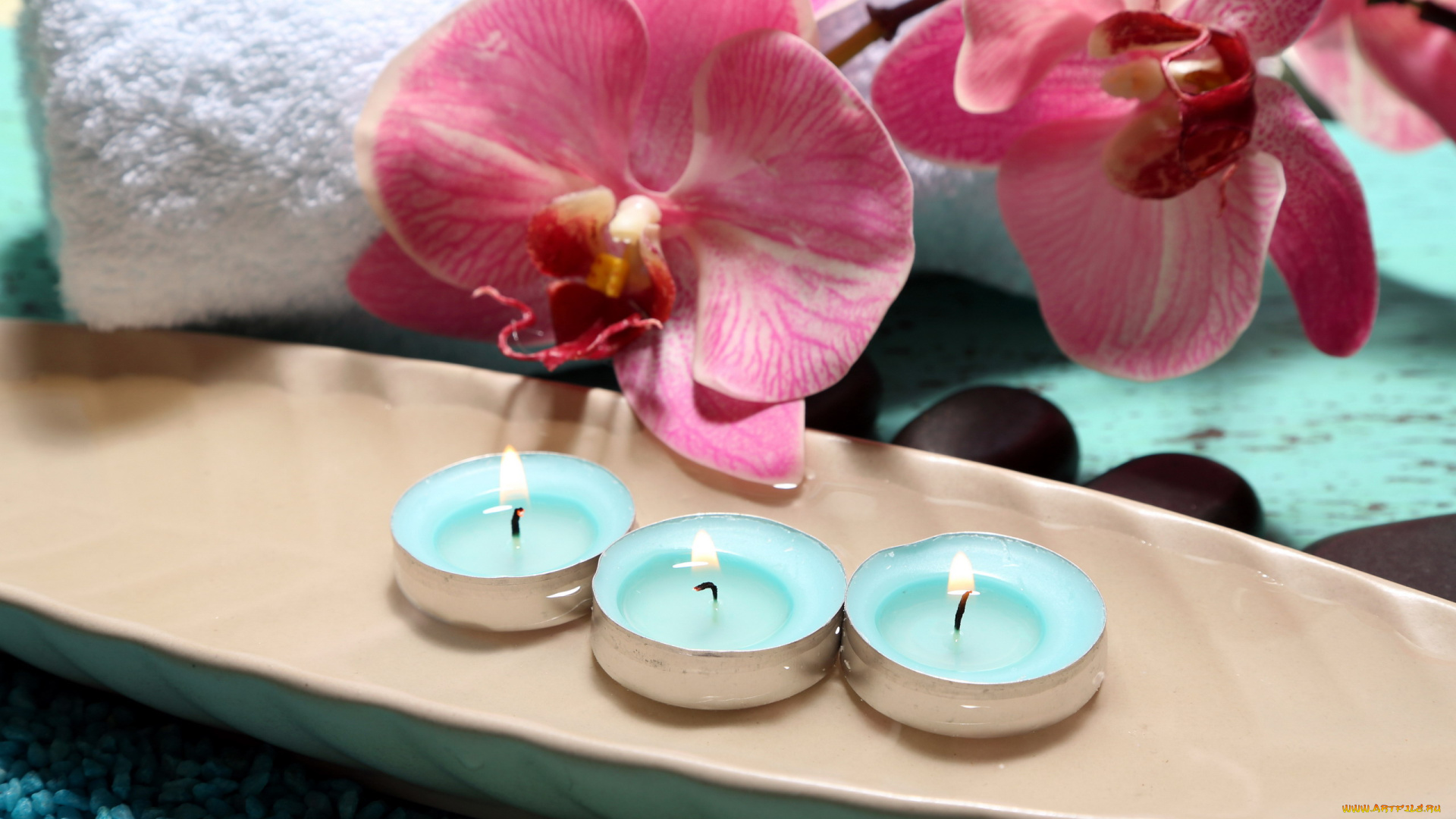 разное, свечи, огоньки, орхидеи