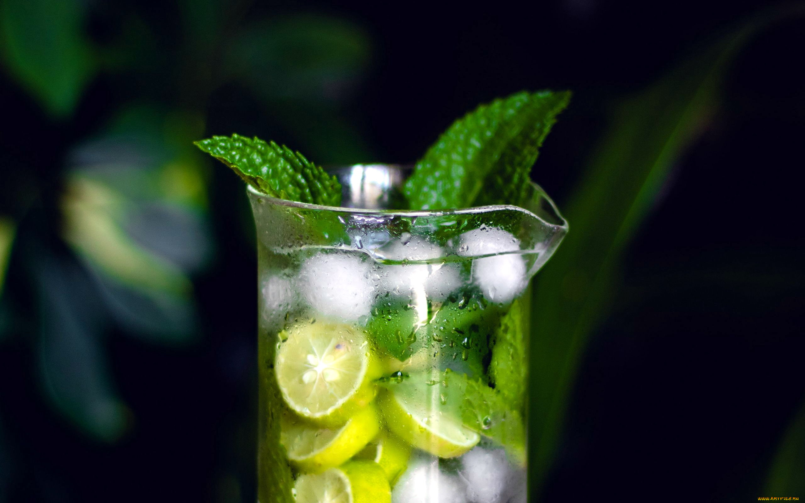 еда, напитки, , коктейль, мята, коктейль, лимон