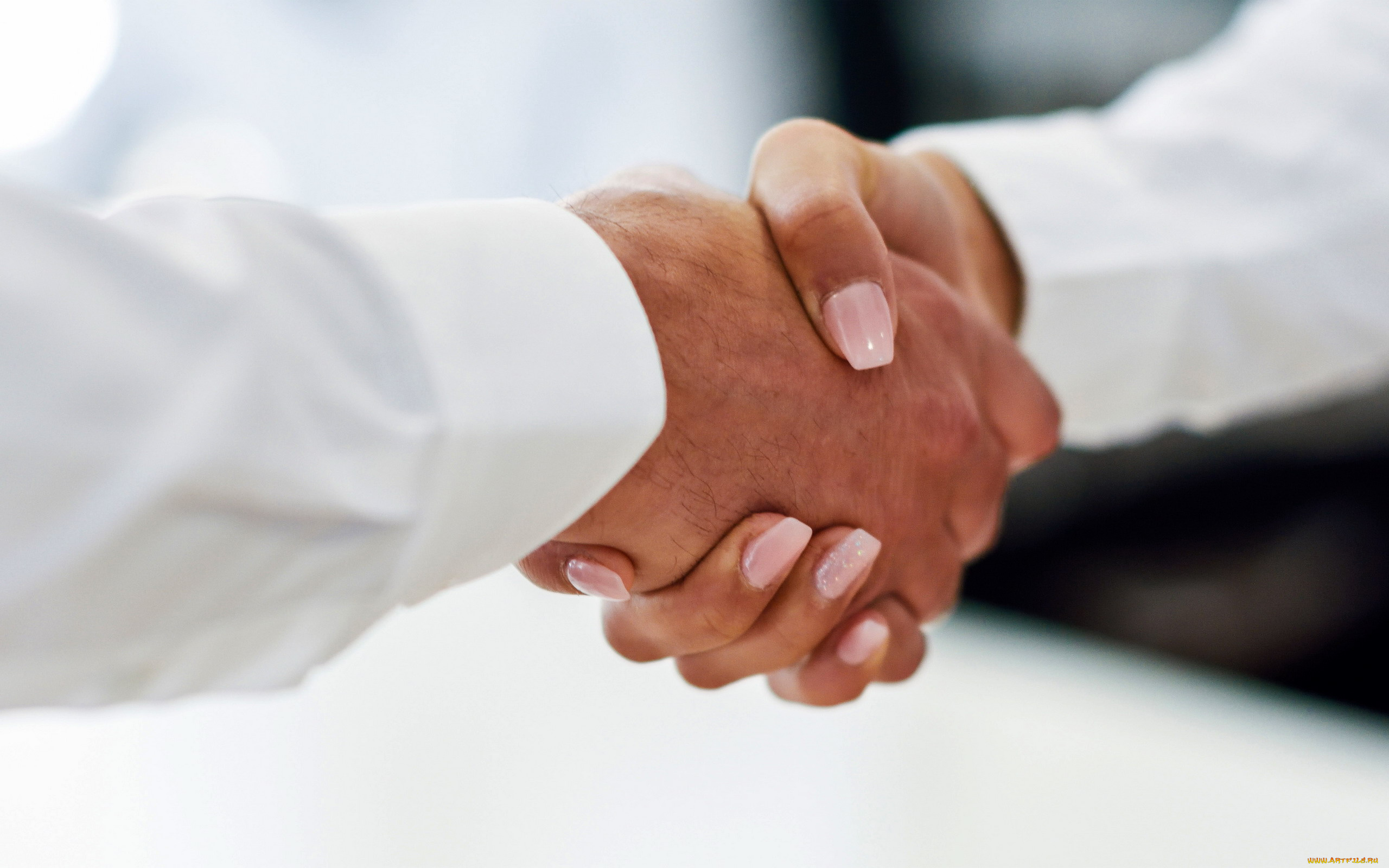 разное, руки, , ноги, рукопожатие, женская, мужская, рука, маникюр