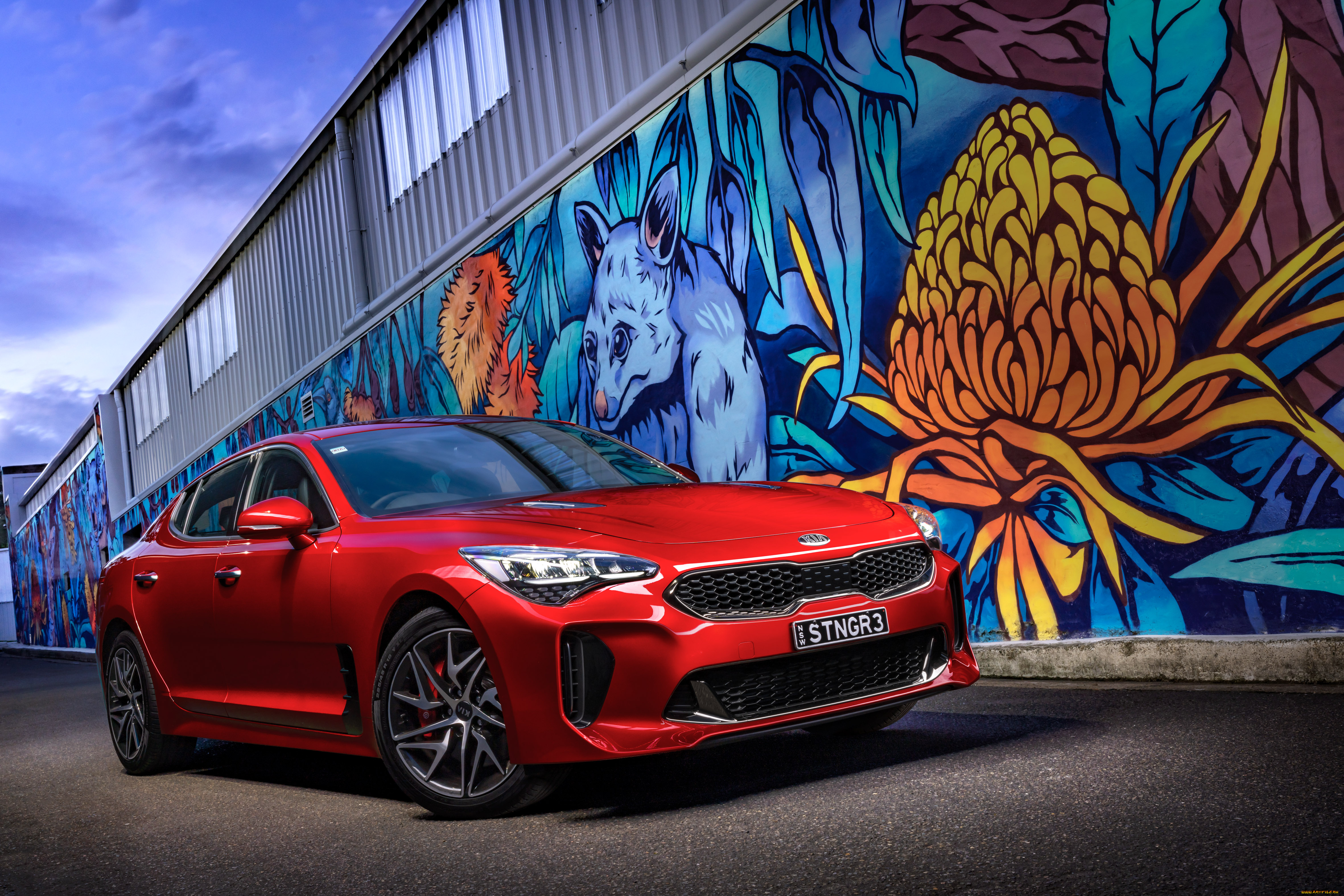 автомобили, kia