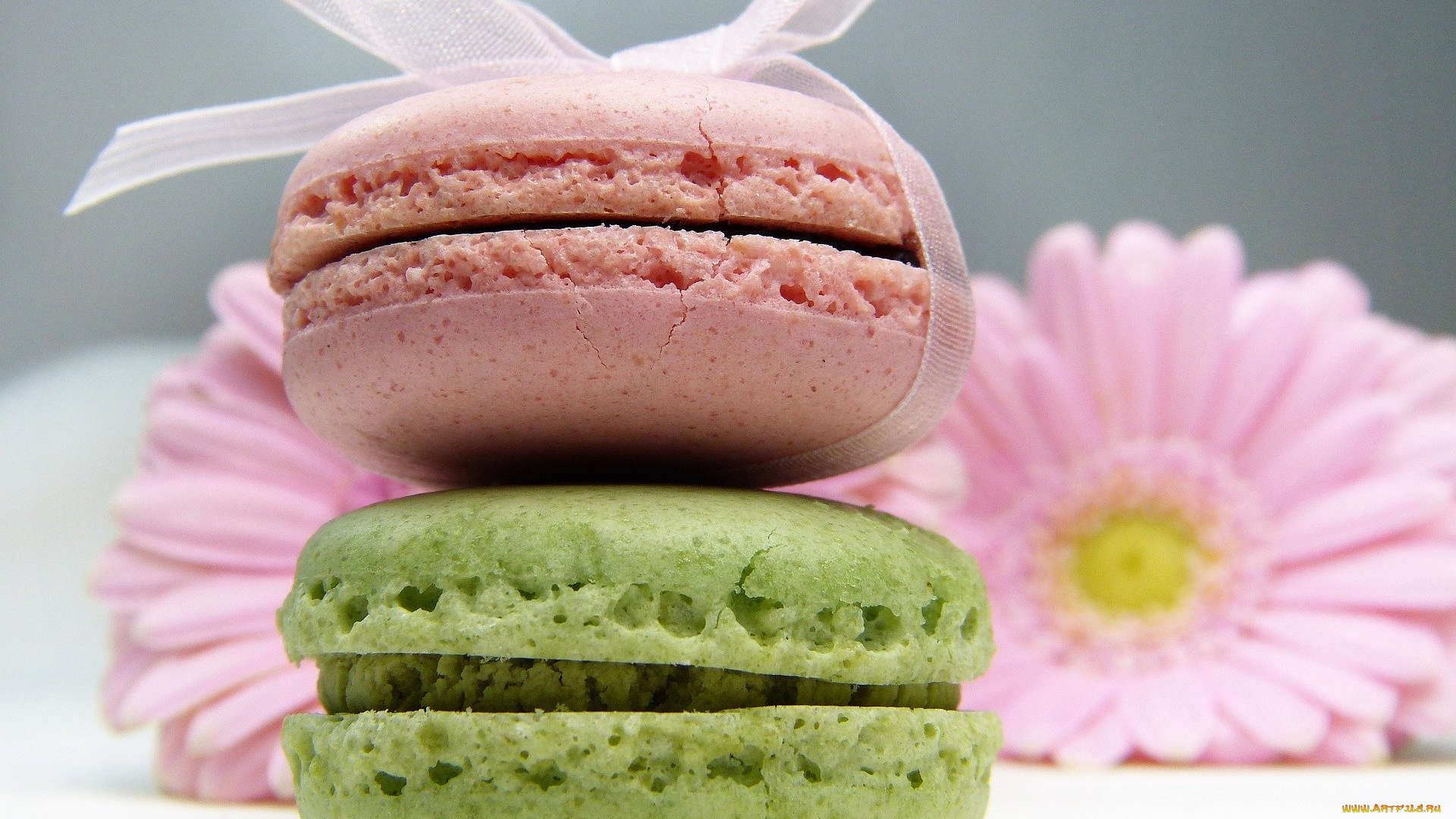 еда, макаруны, лакомство, печенье, ассорти