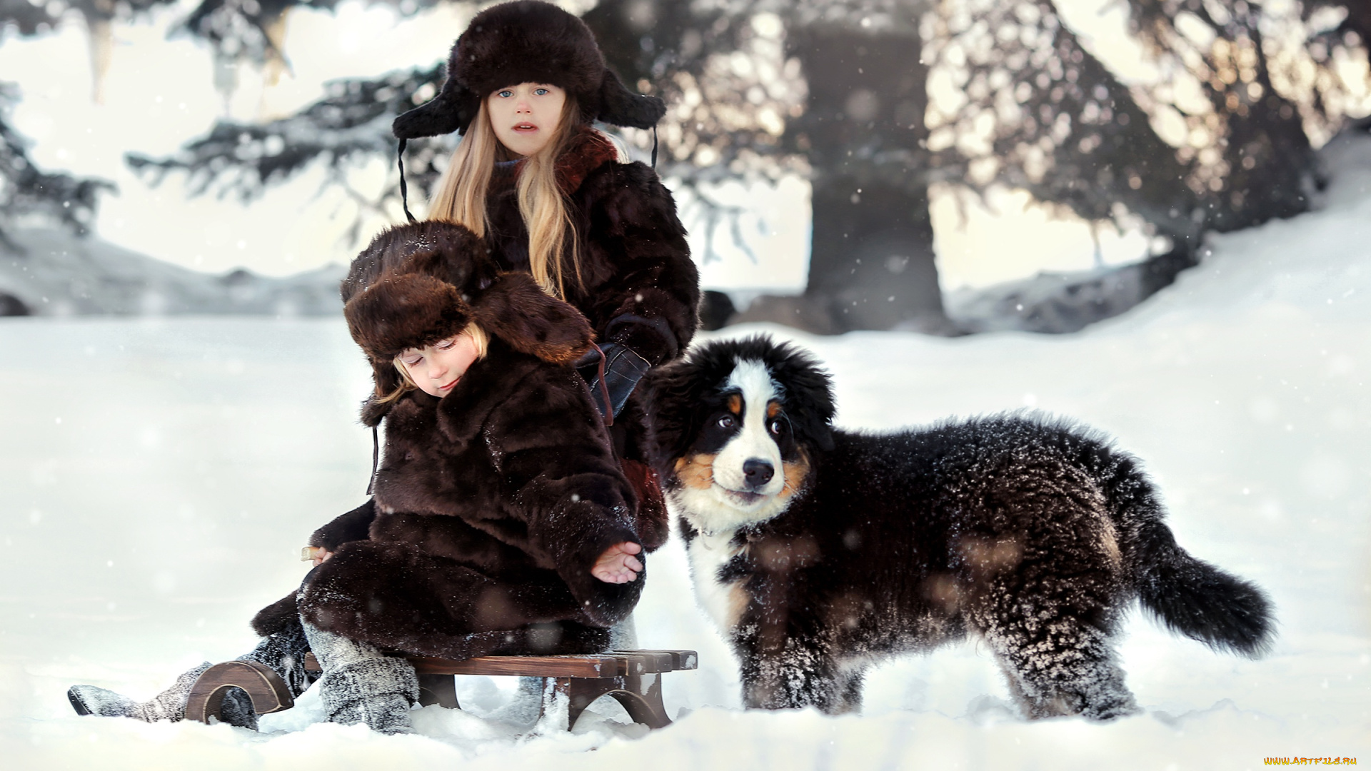 разное, дети, санки, снег, щенок