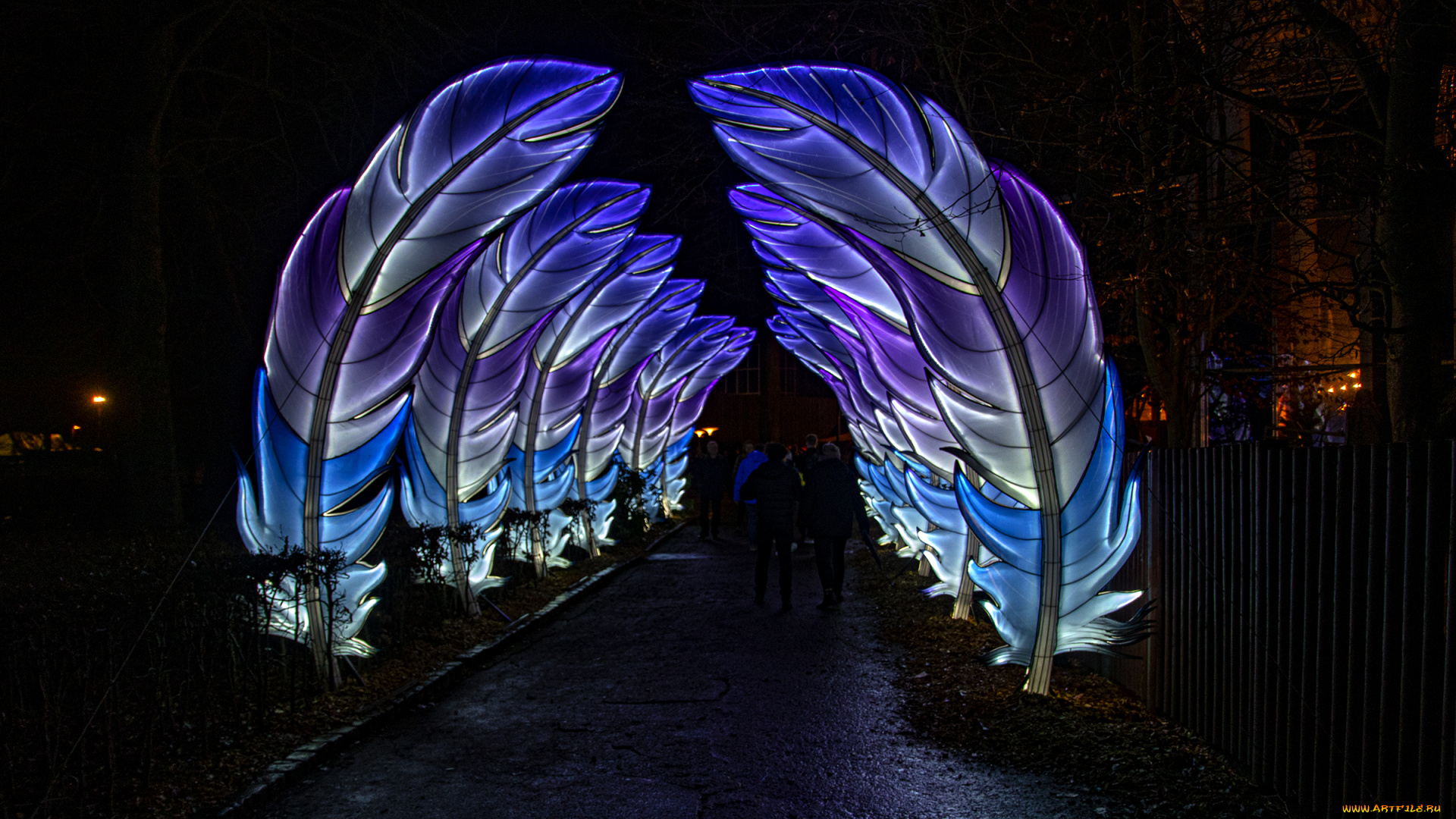 разное, иллюминация, перья