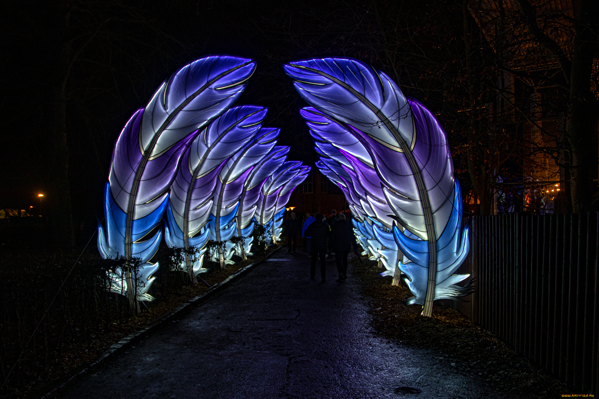 разное, иллюминация, перья