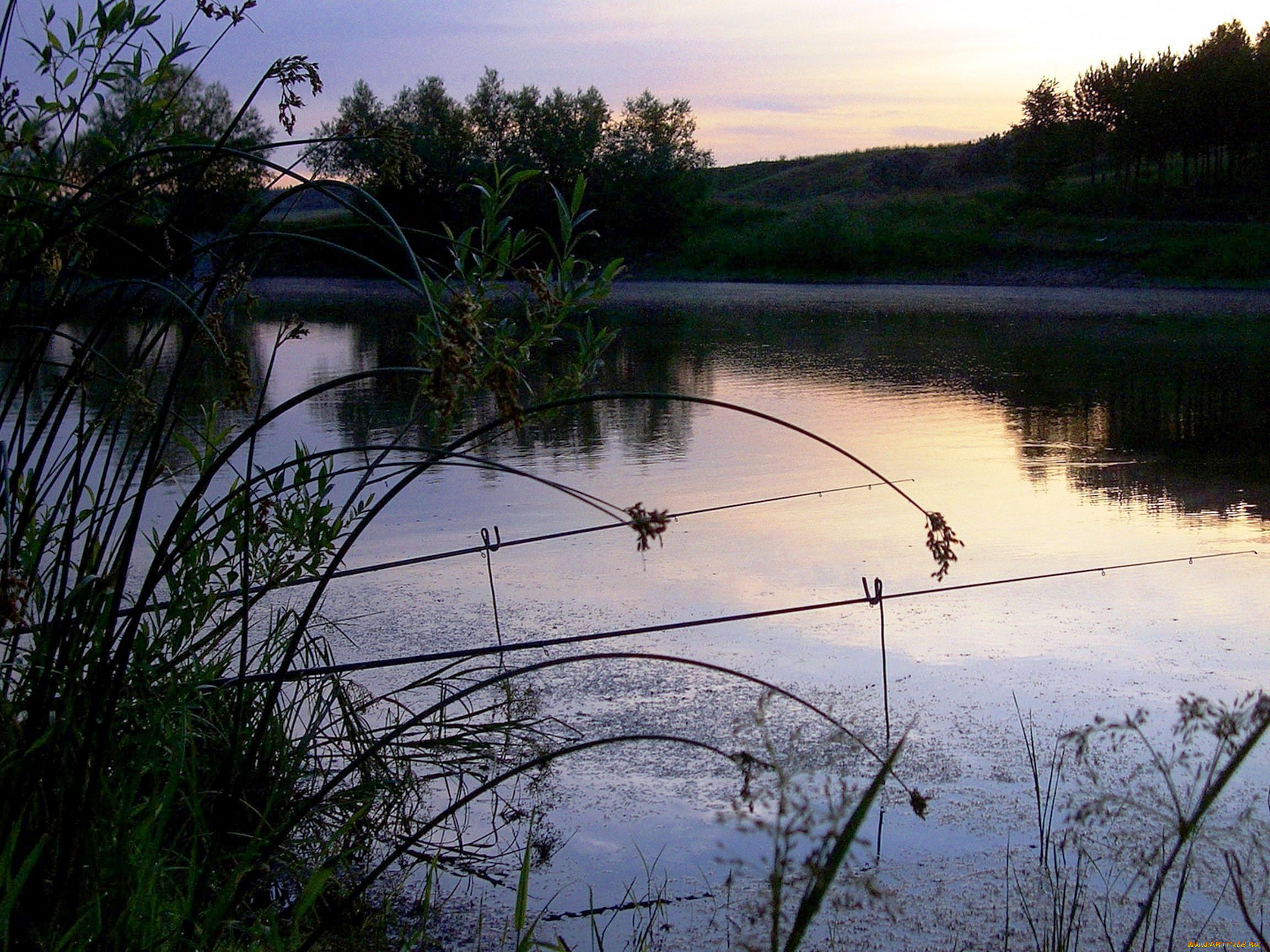 рассвет, природа