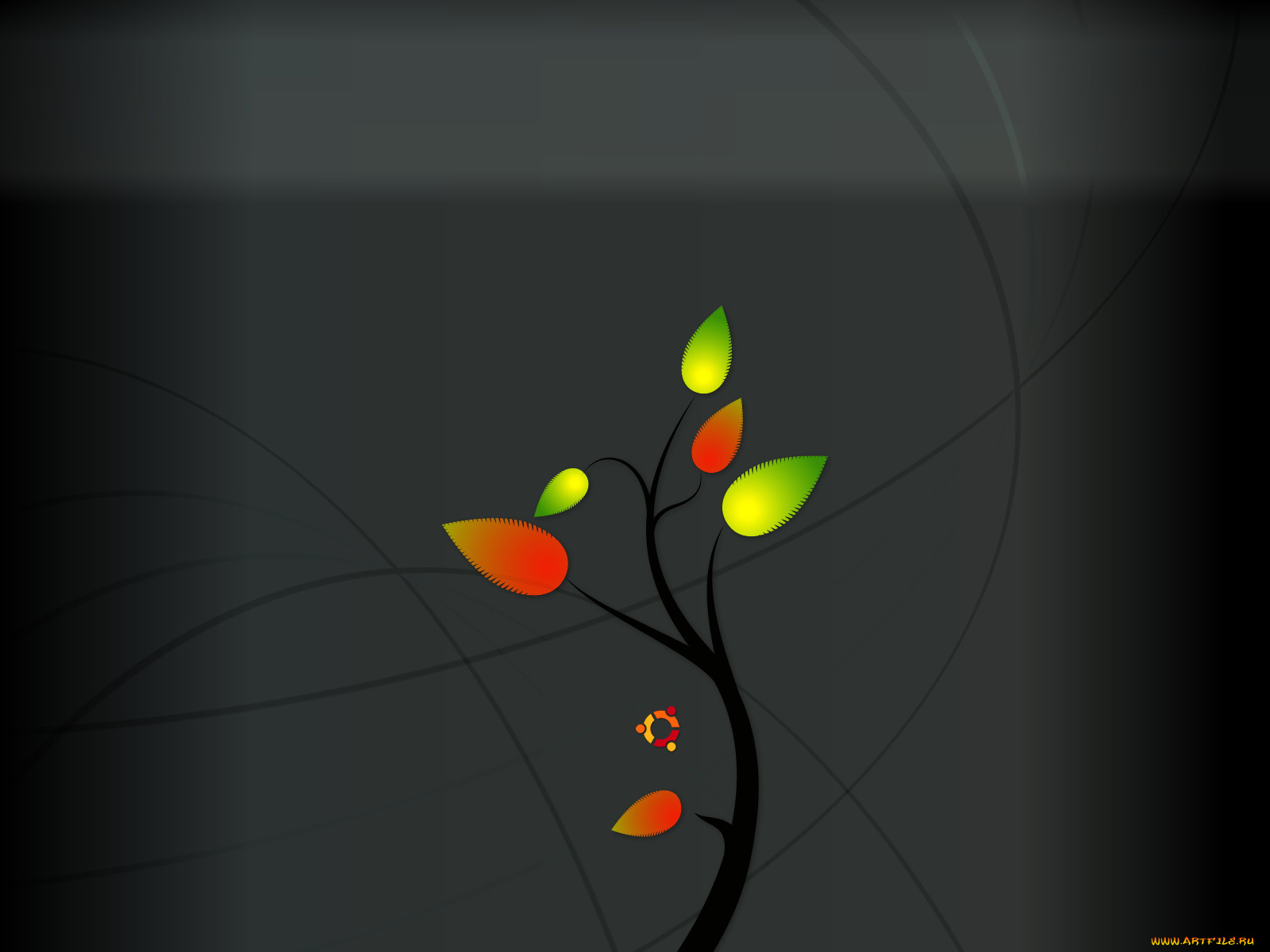 компьютеры, ubuntu, linux