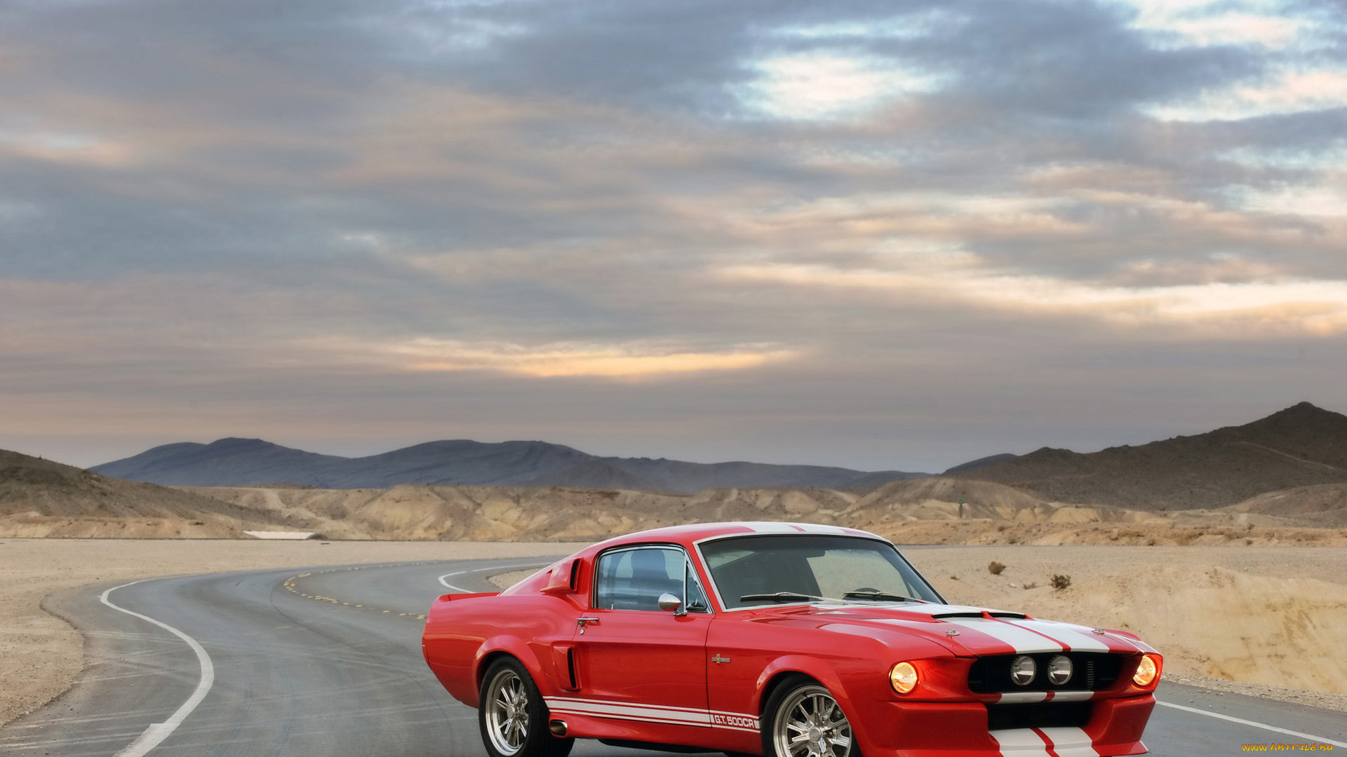 shelby, gt500cr, автомобили, mustang