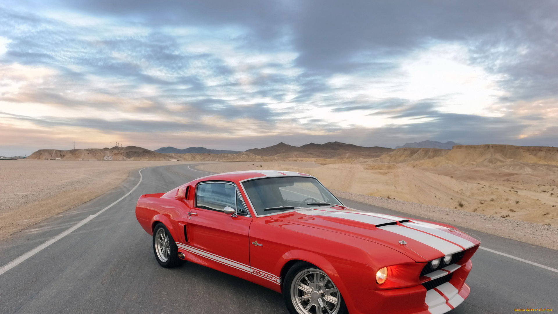 shelby, gt500cr, автомобили, mustang