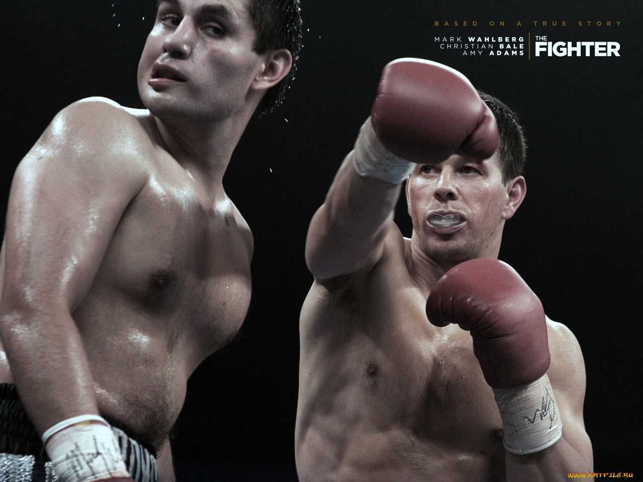 the, fighter, боец, кино, фильмы