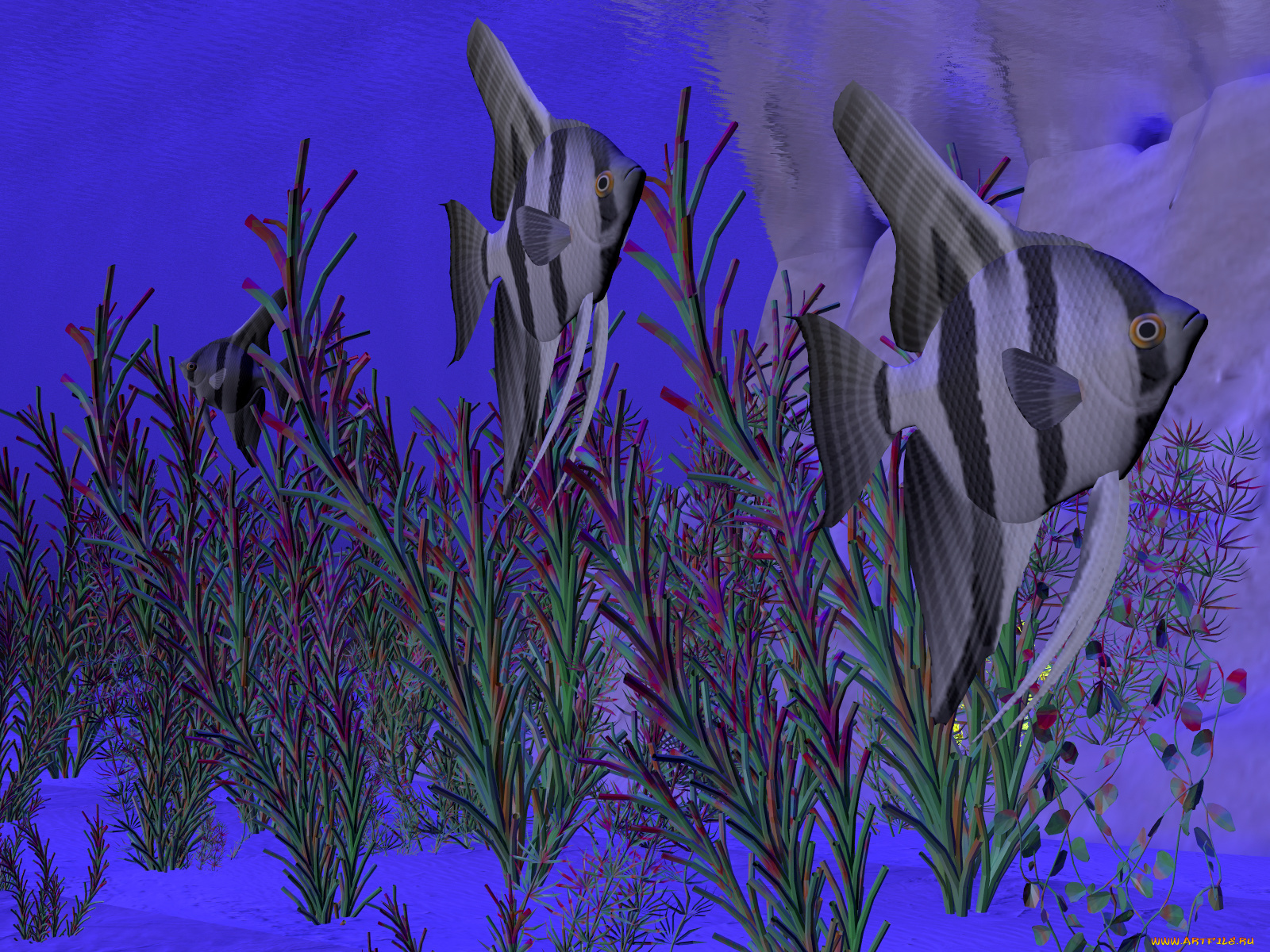 3д, графика, animals, животные, рыба, растения
