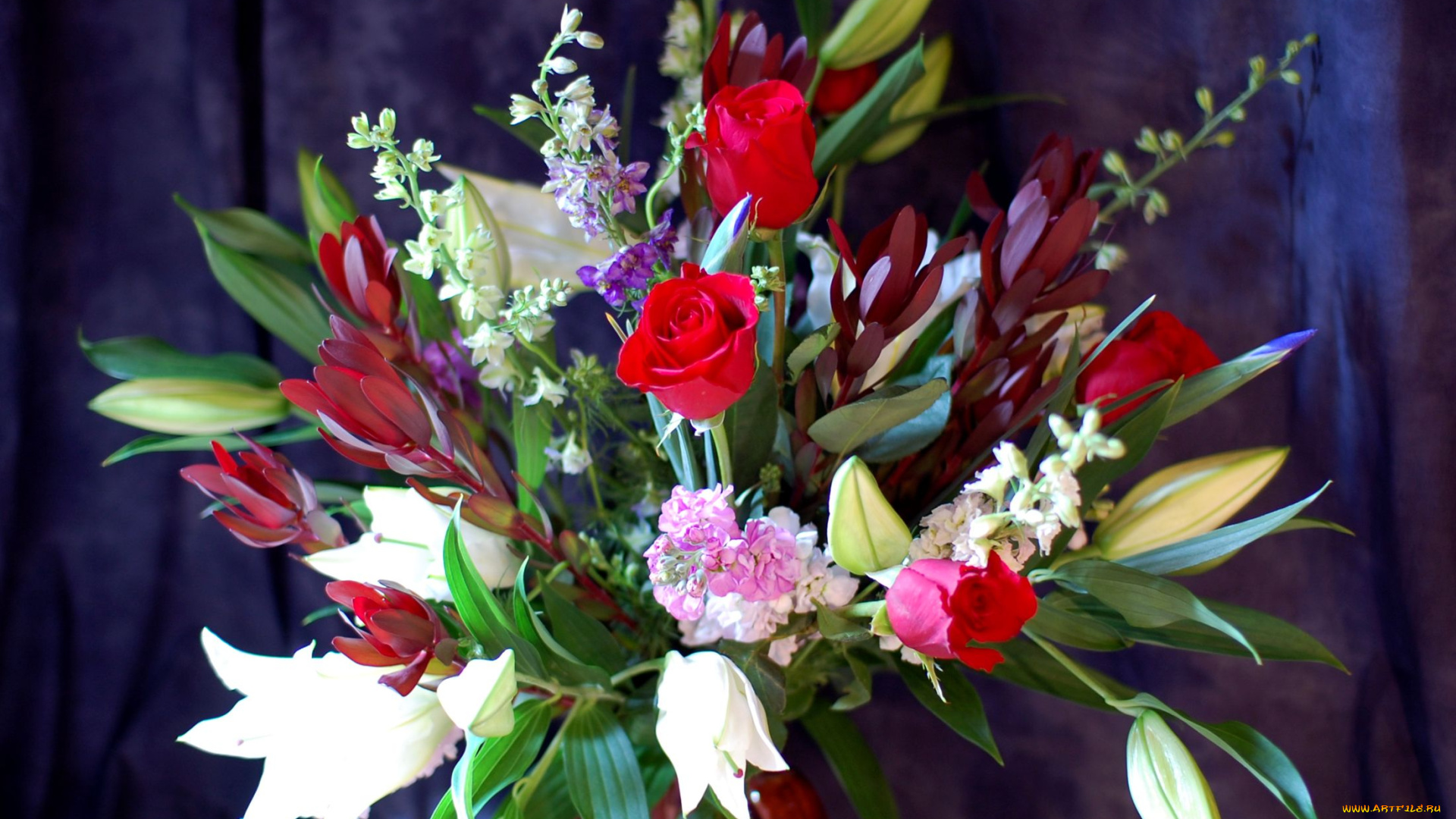 цветы, букеты, композиции, тюльпаны, лилии, левкой