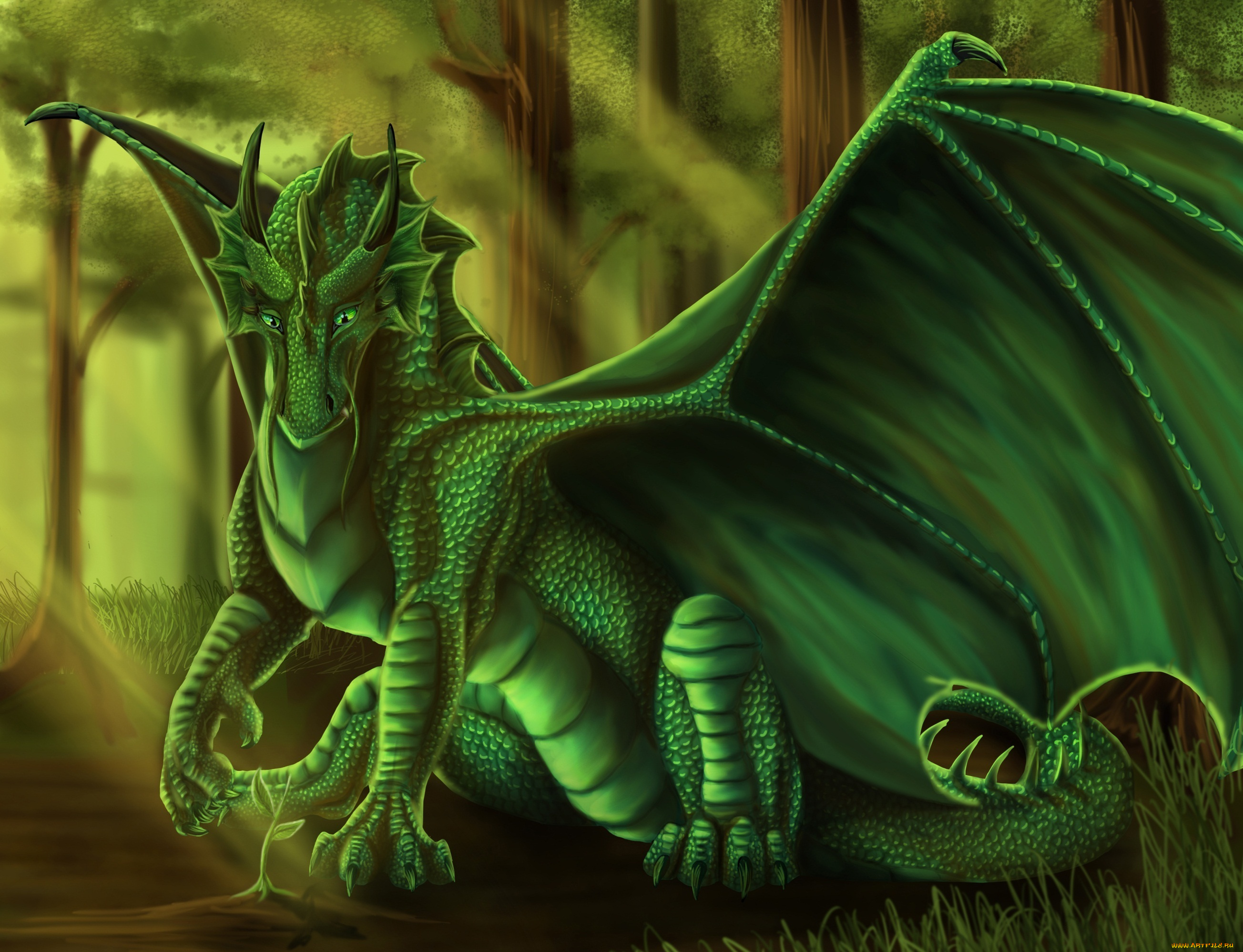 фэнтези, драконы, крылья