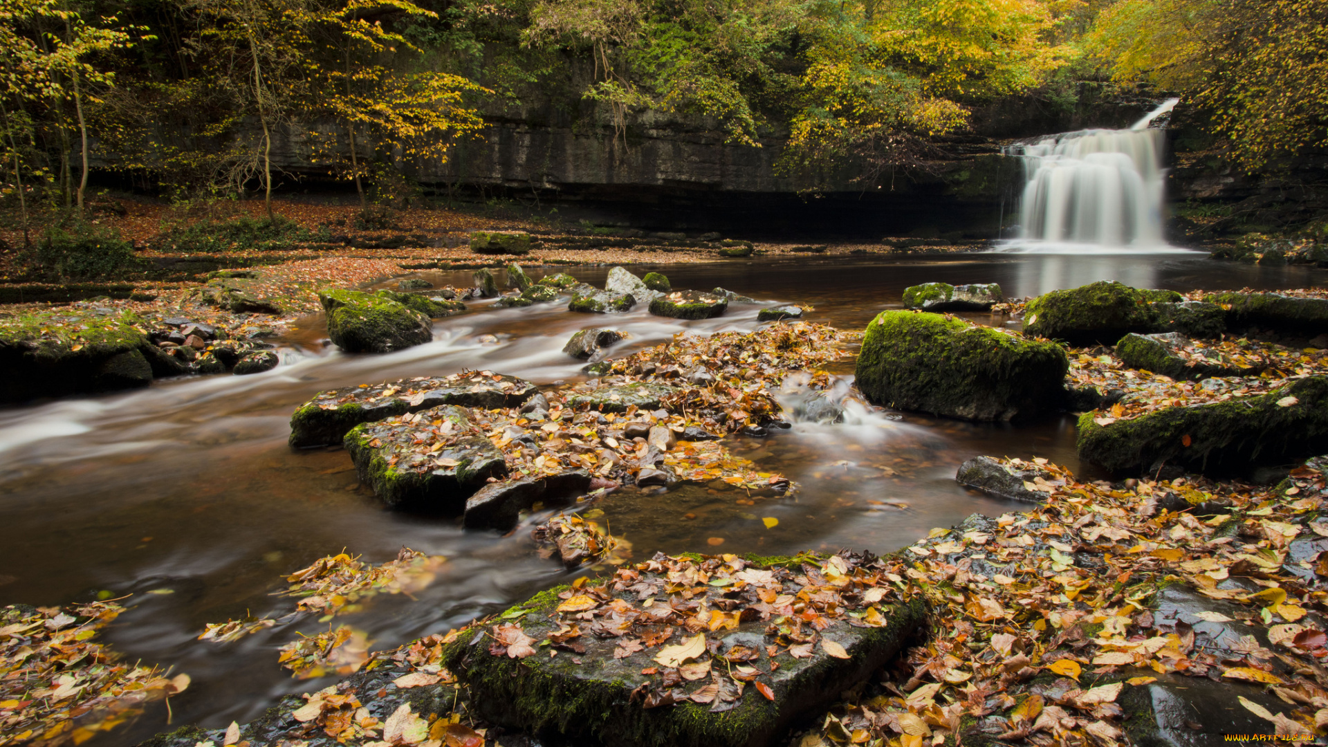 cauldron, falls, england, природа, водопады, англия, река, осень, листья, камни, лес, деревья
