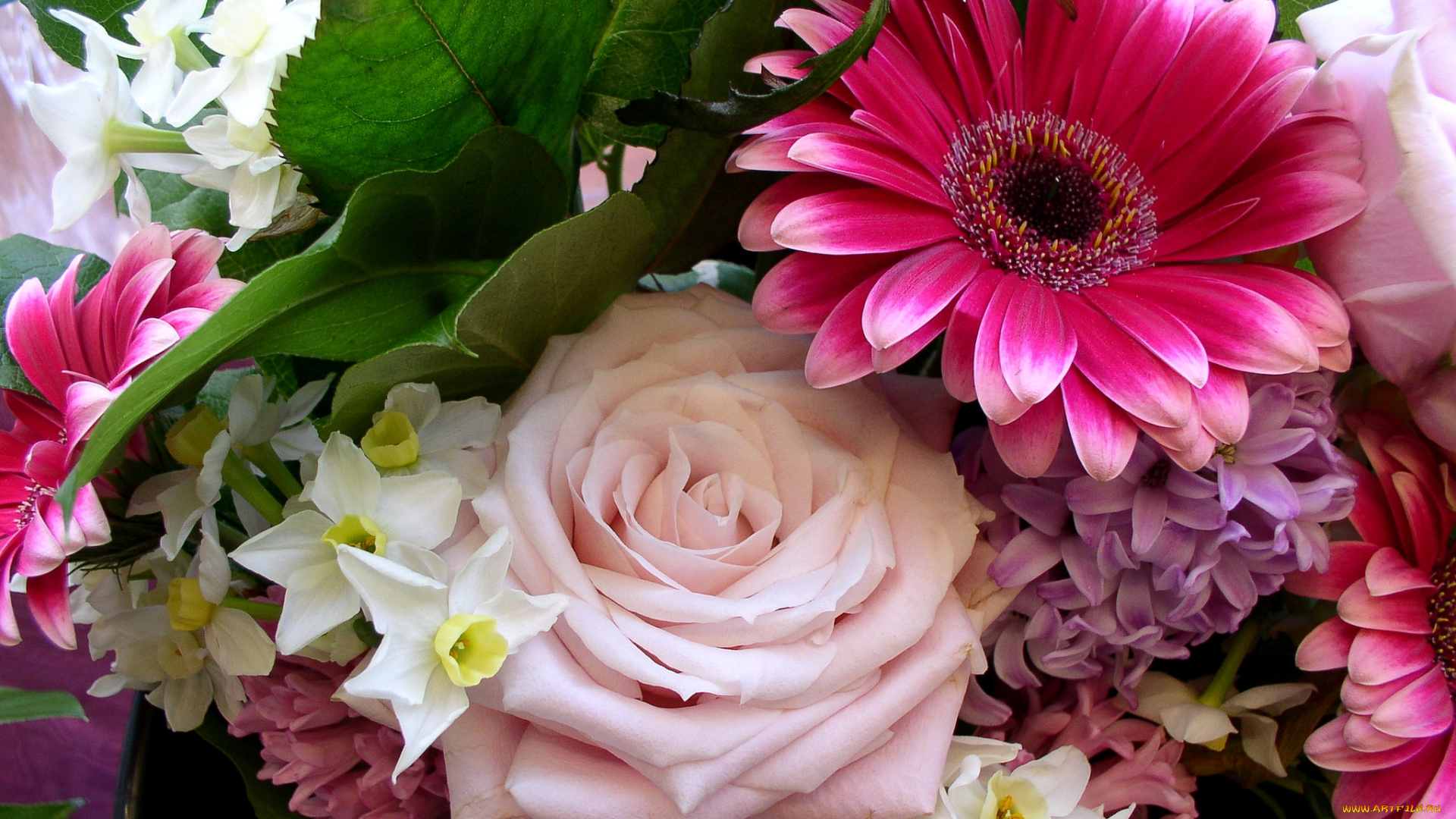 цветы, разные, вместе, гиацинты, нарциссы, герберы, розы