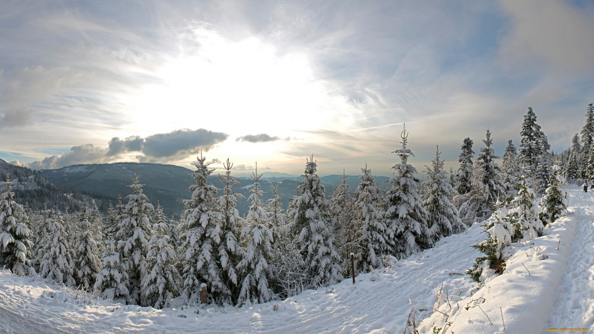 природа, зима, germany, германия, панорама, снег, лес, ели, дорога