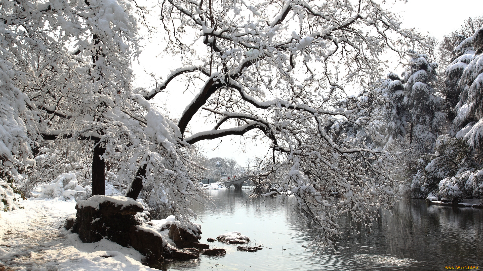 природа, зима, снег, деревья