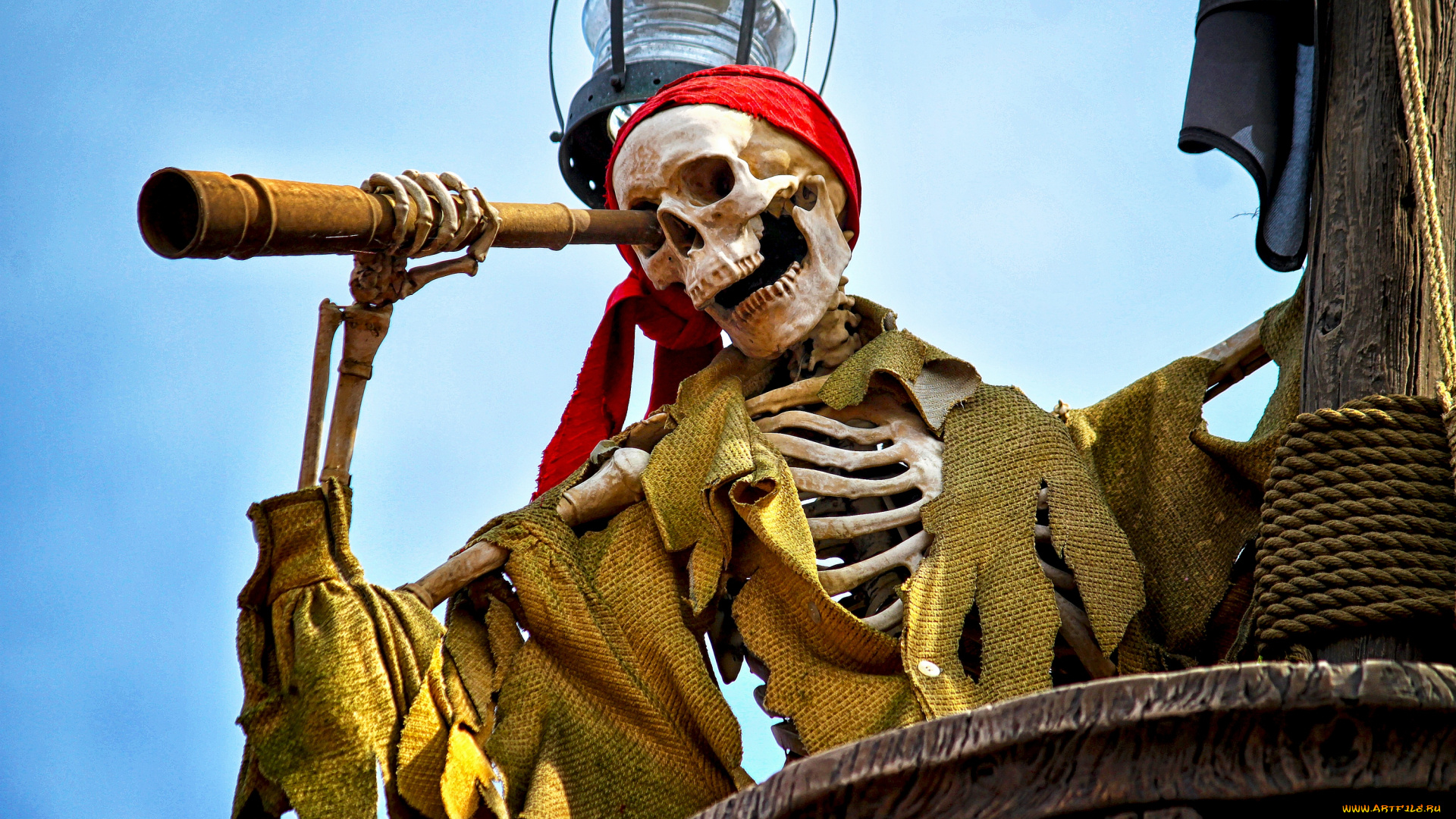 разное, кости, рентген, пират, скелет