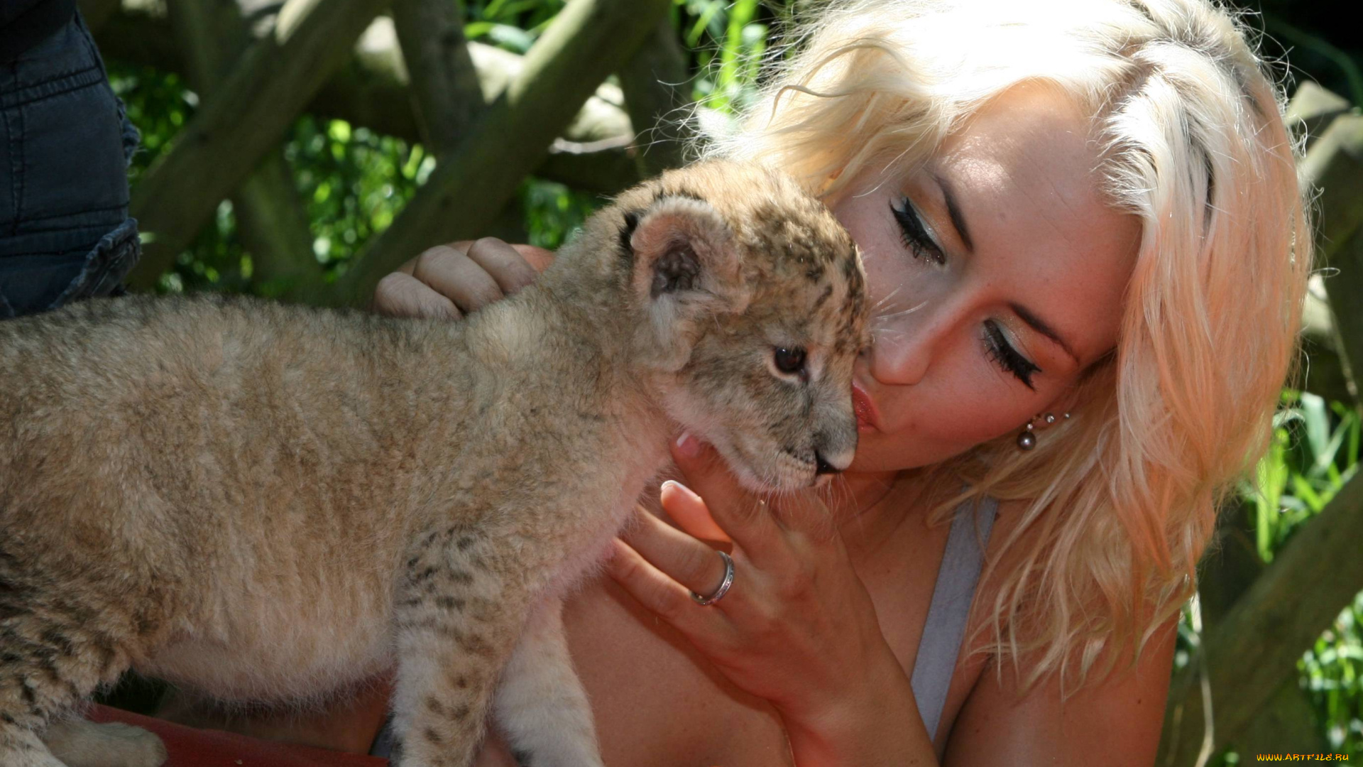 sarah, connor, музыка, германия, танцовщица, певица