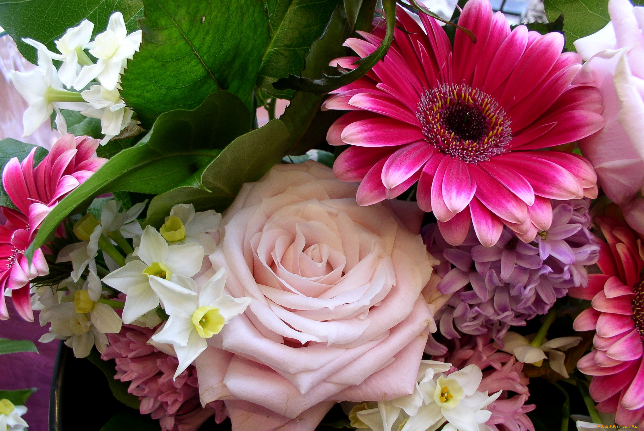 цветы, разные, вместе, гиацинты, нарциссы, герберы, розы