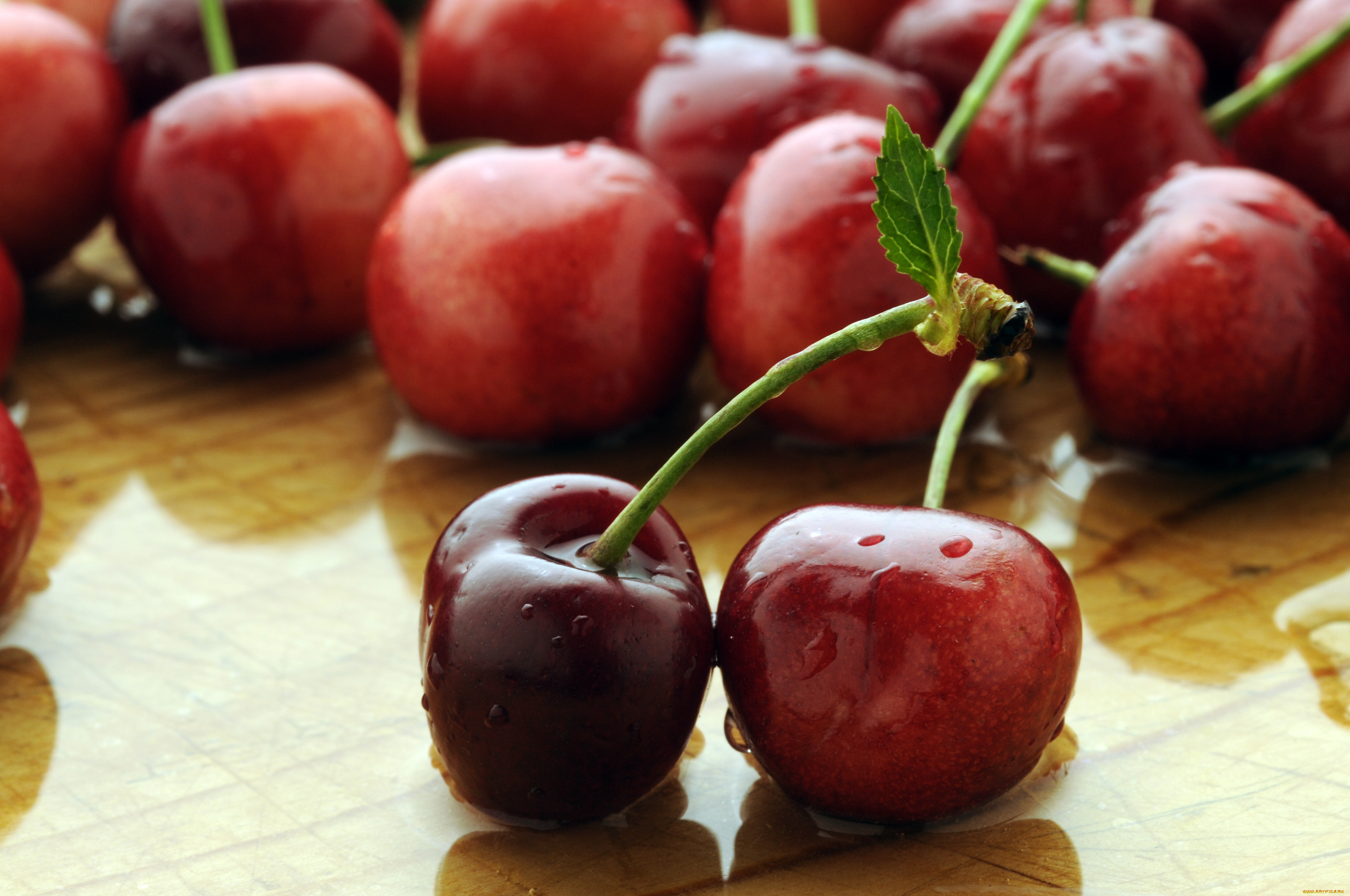 еда, вишня, черешня, ягоды