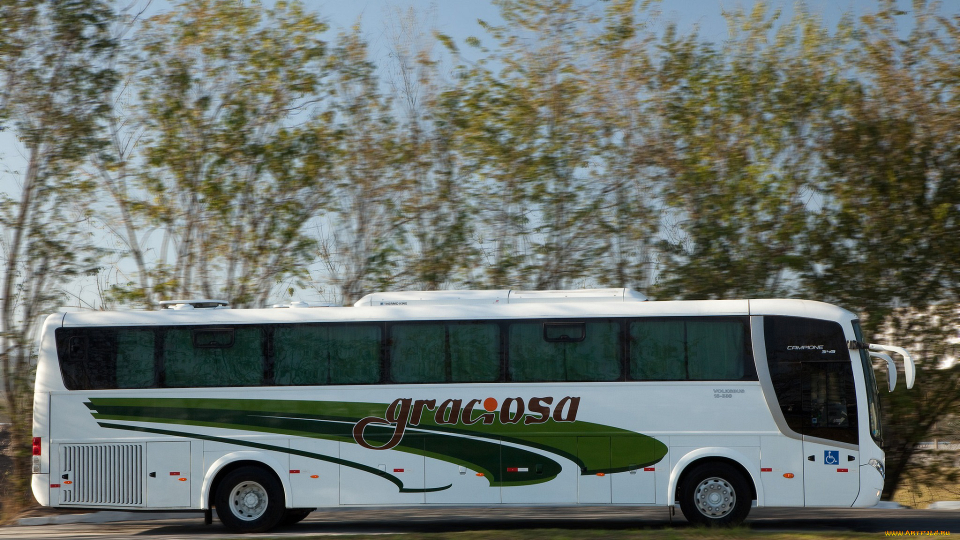 автомобили, автобусы, campione, 3-45, 18-330, volksbus, volkswagen, comil