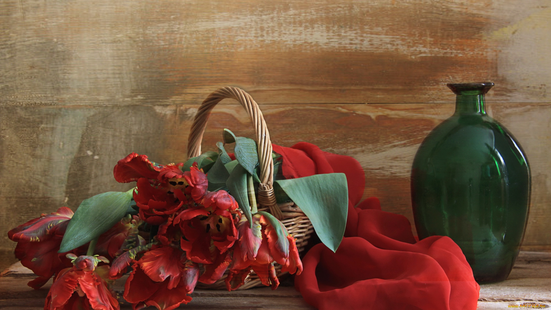 цветы, тюльпаны, букет