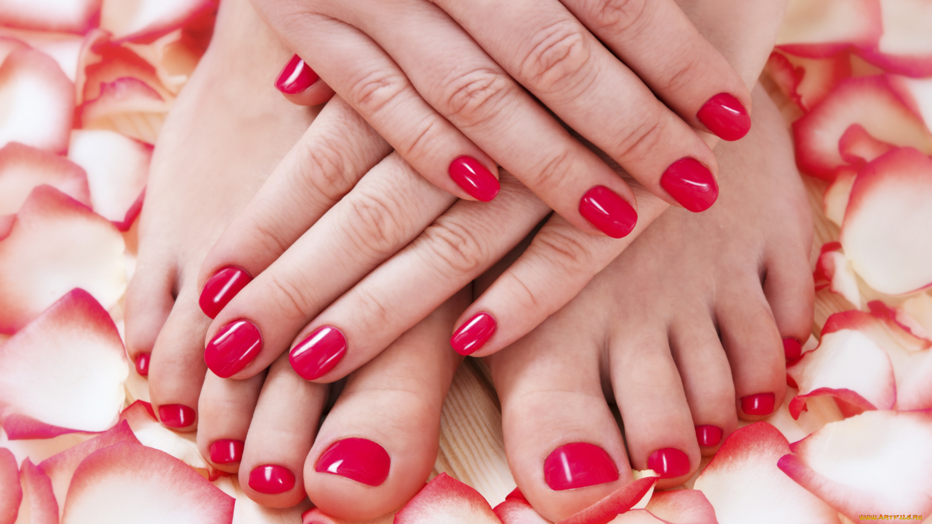 разное, руки, лепестки, маникюр