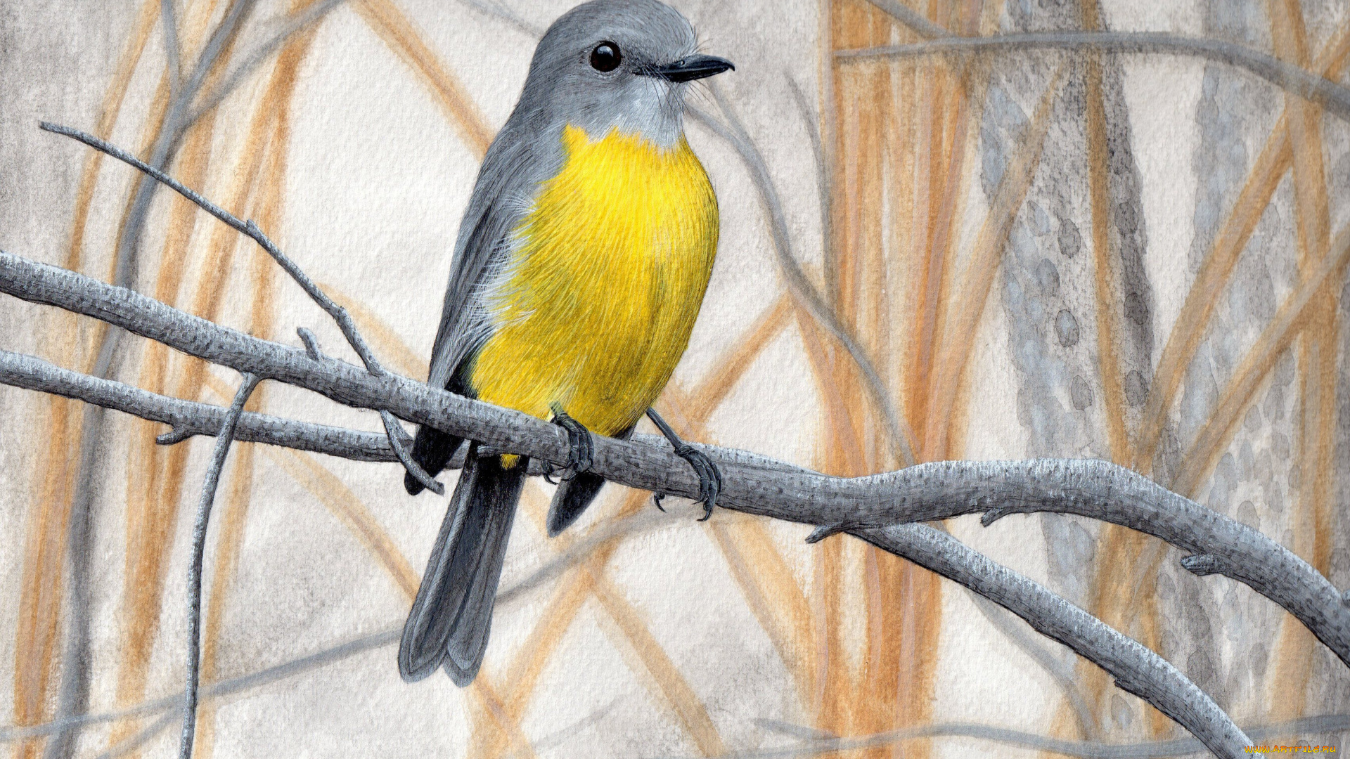 рисованные, животные, , птицы, птичка, жёлтенькая, веточки