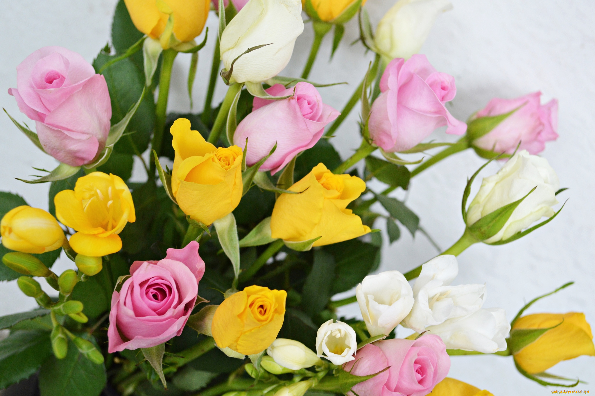 цветы, разные, вместе, фрезия, розы