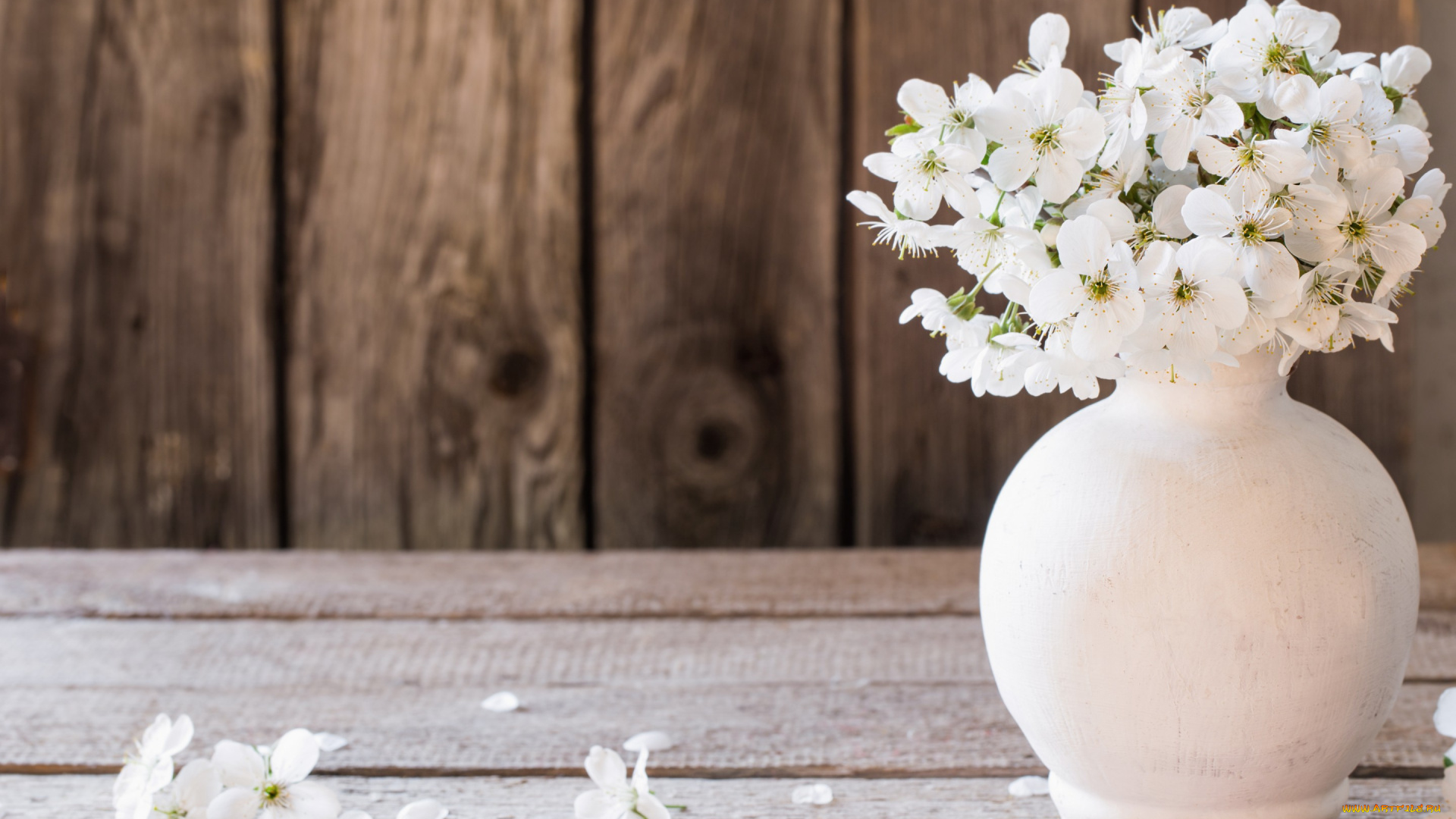 цветы, цветущие, деревья, , , кустарники, лепестки, доски, весна