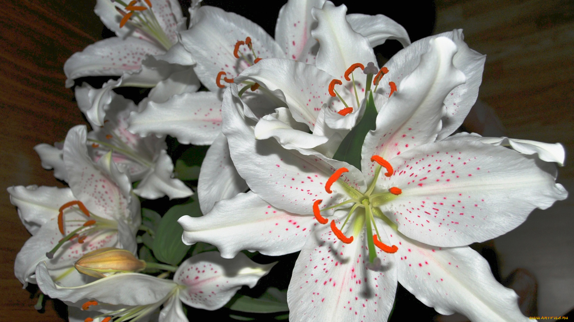 цветы, лилии, , лилейники, букет, белые