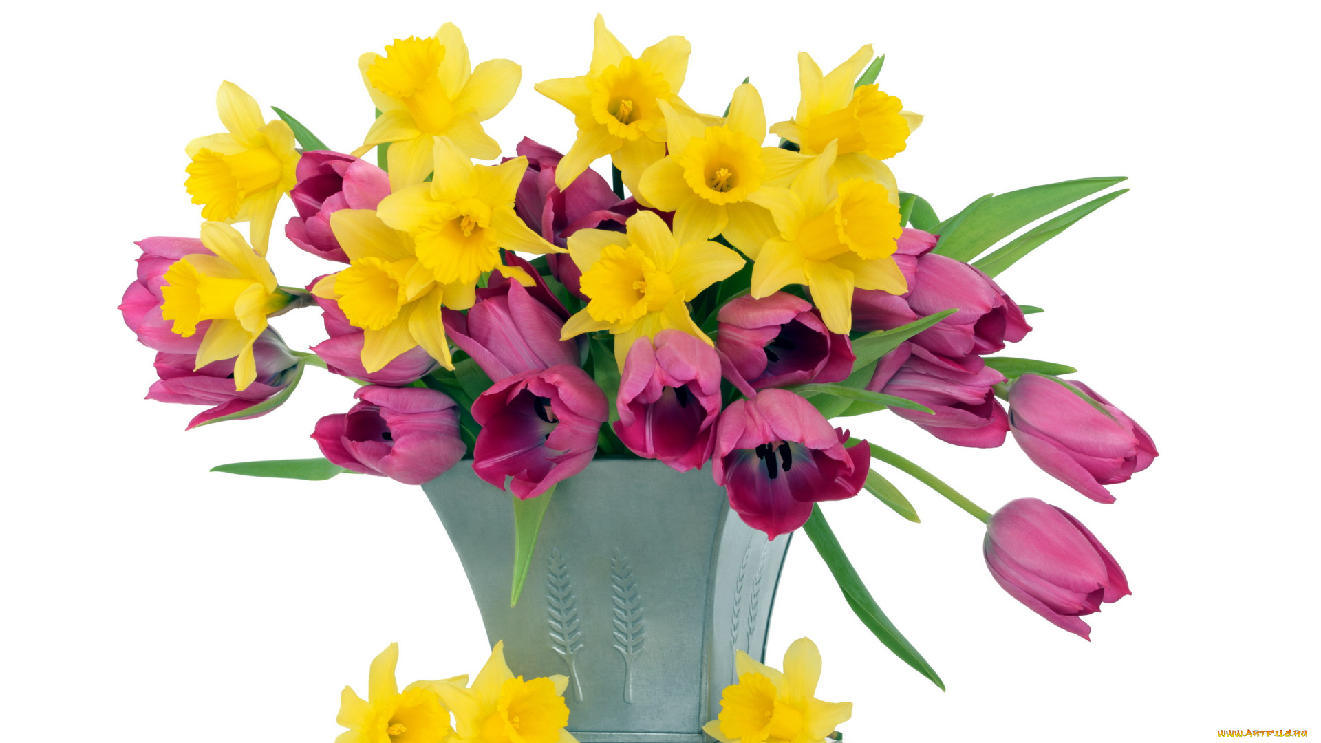 цветы, разные, вместе, тюльпаны, нарциссы