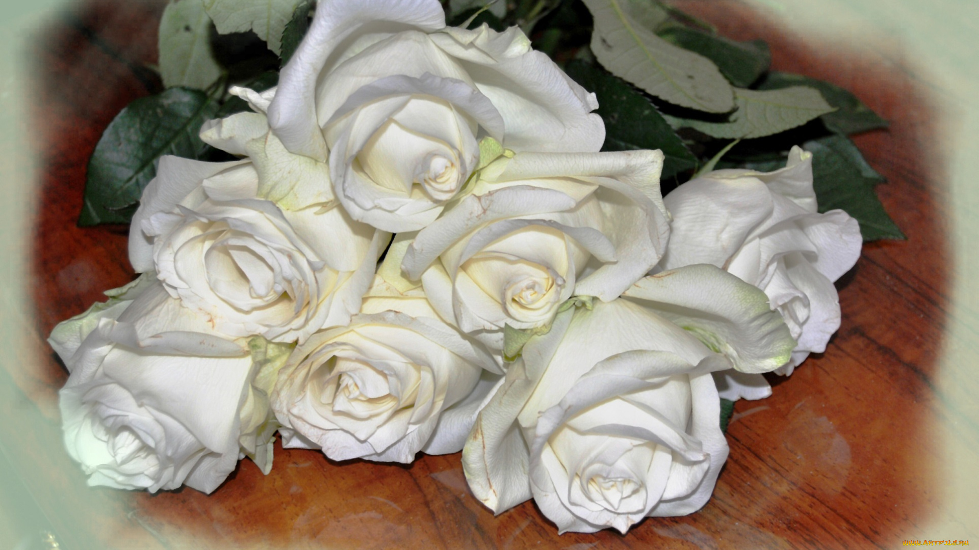 цветы, розы, белые, букет