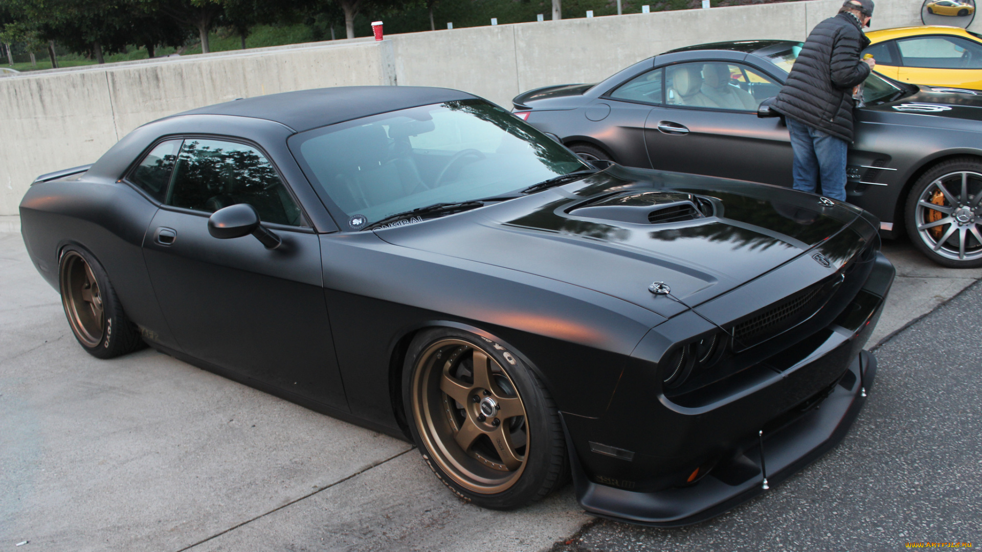 dodge, автомобили, выставки, и, уличные, фото, черный, challenger