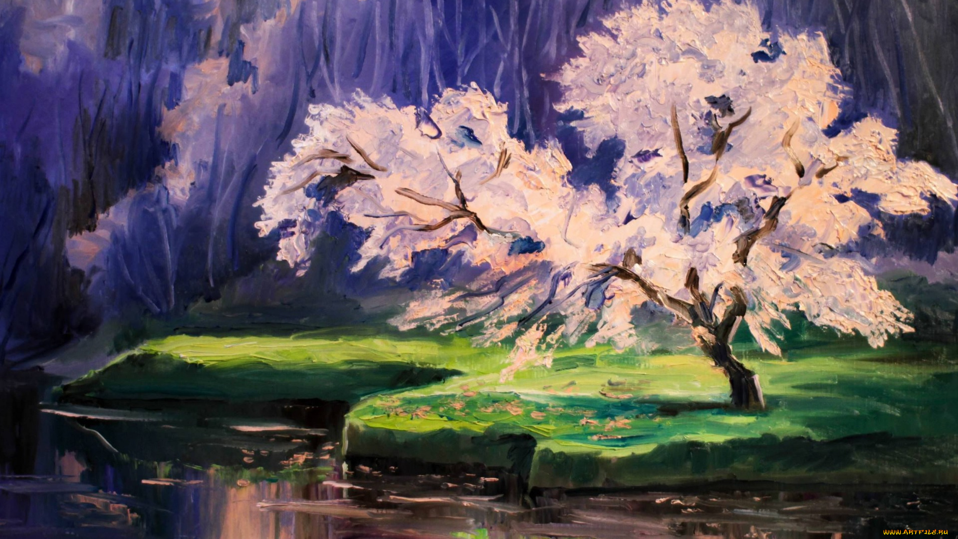 рисованное, живопись, люба, дикер, дикарева, цветущая, сакура