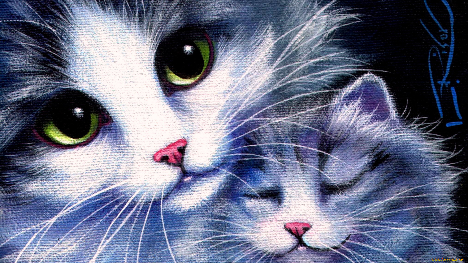 рисованное, животные, , коты, мел, взгляд, кошка, котенок