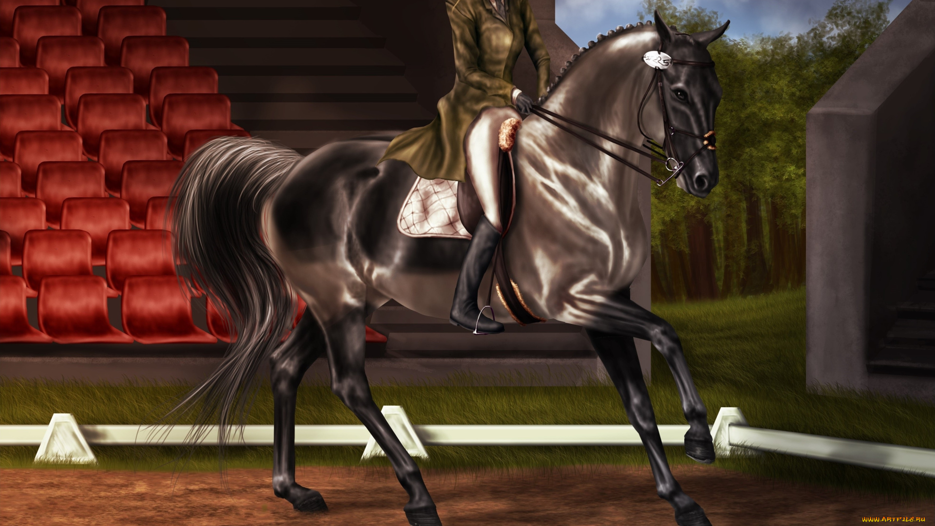 рисованное, животные, , лошади, всадник, девушка, взгляд, лошадь