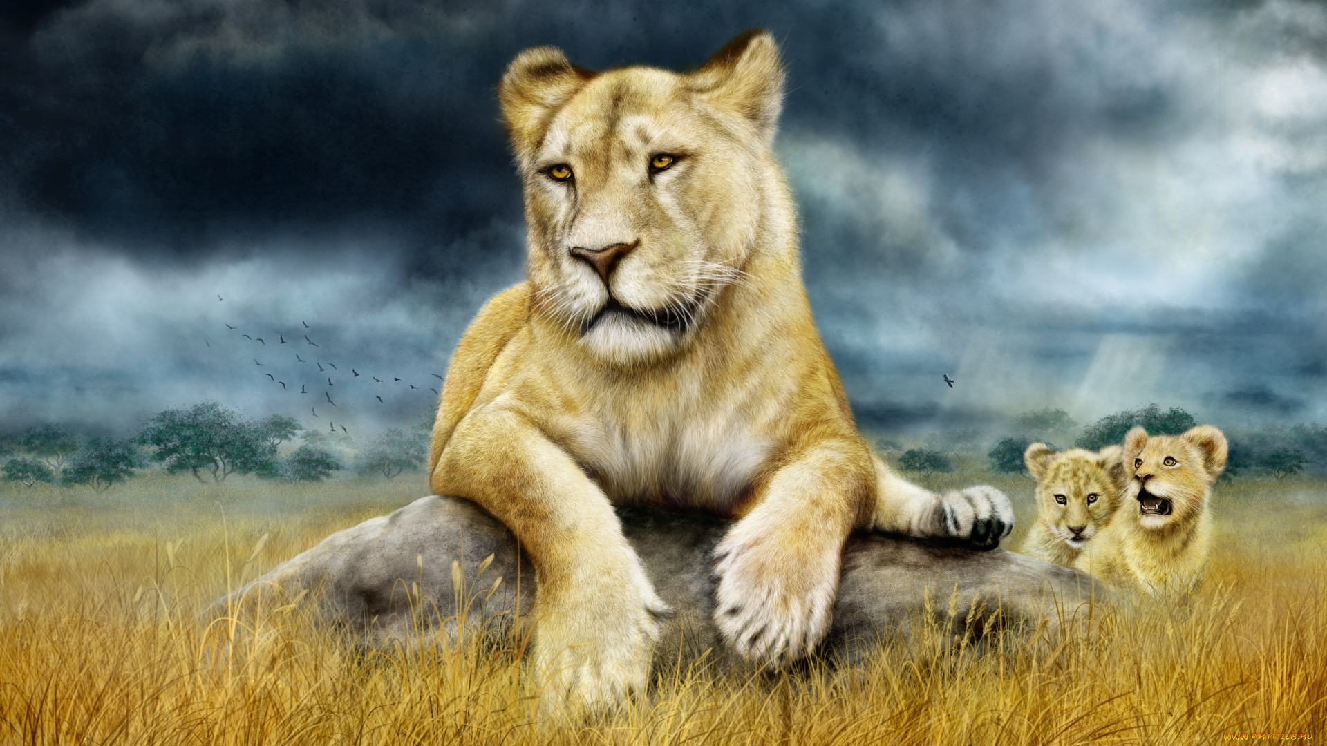 рисованное, животные, , львы, львица, львята, саванна, семья